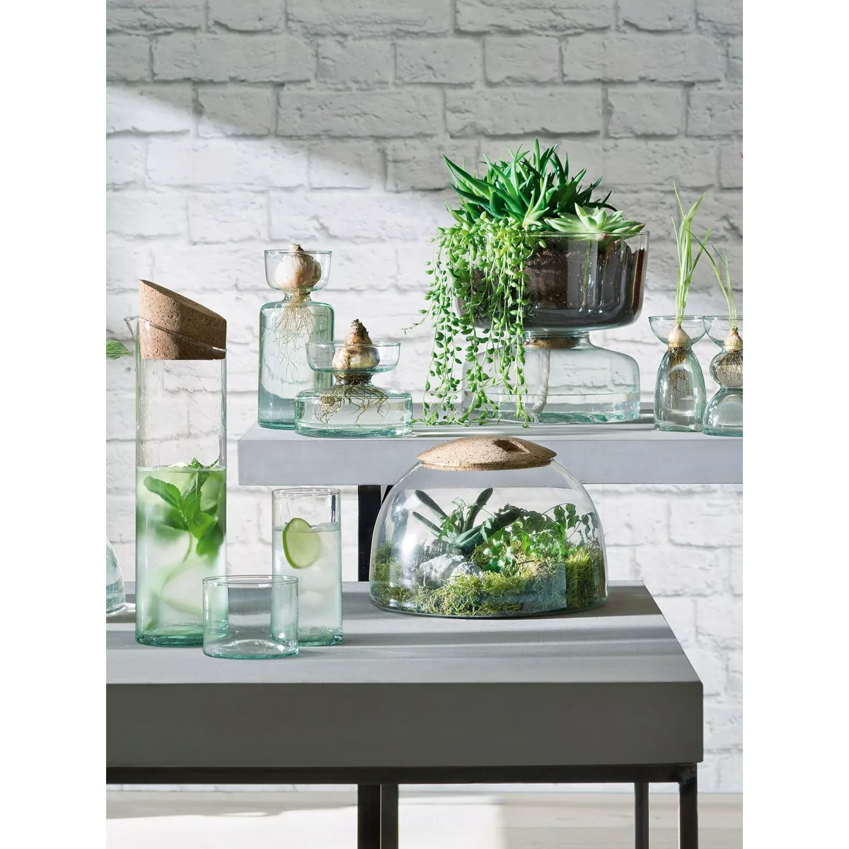 LSA International Canopy Self-Watering Planter, H22cm, Clear – image 4