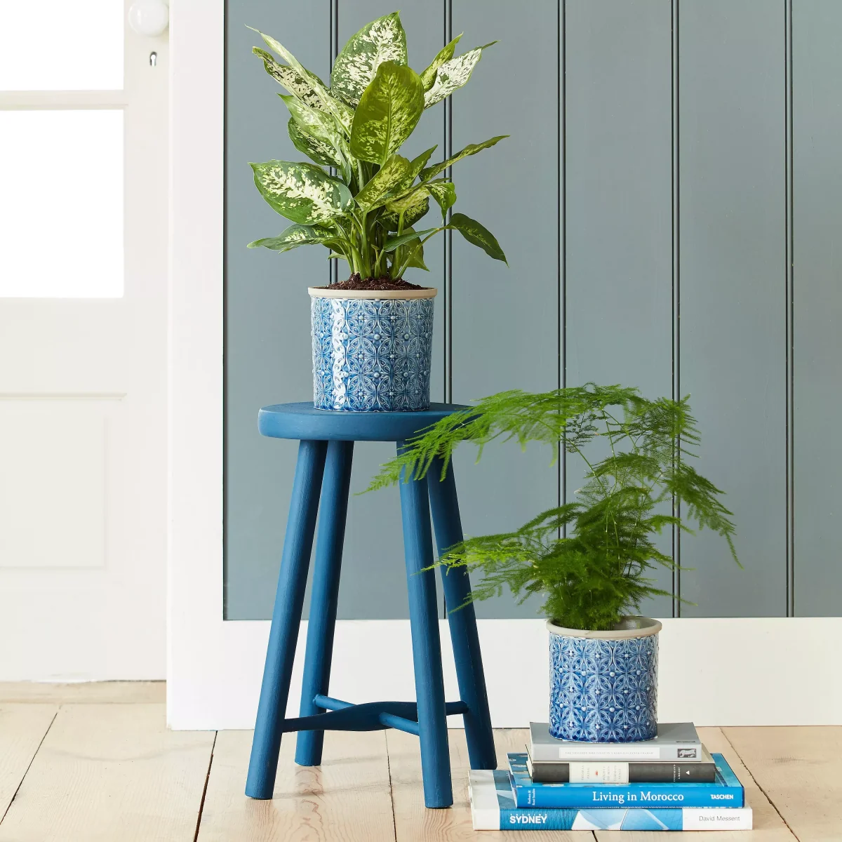 Burgon & Ball Porto Indoor Planter – image 2
