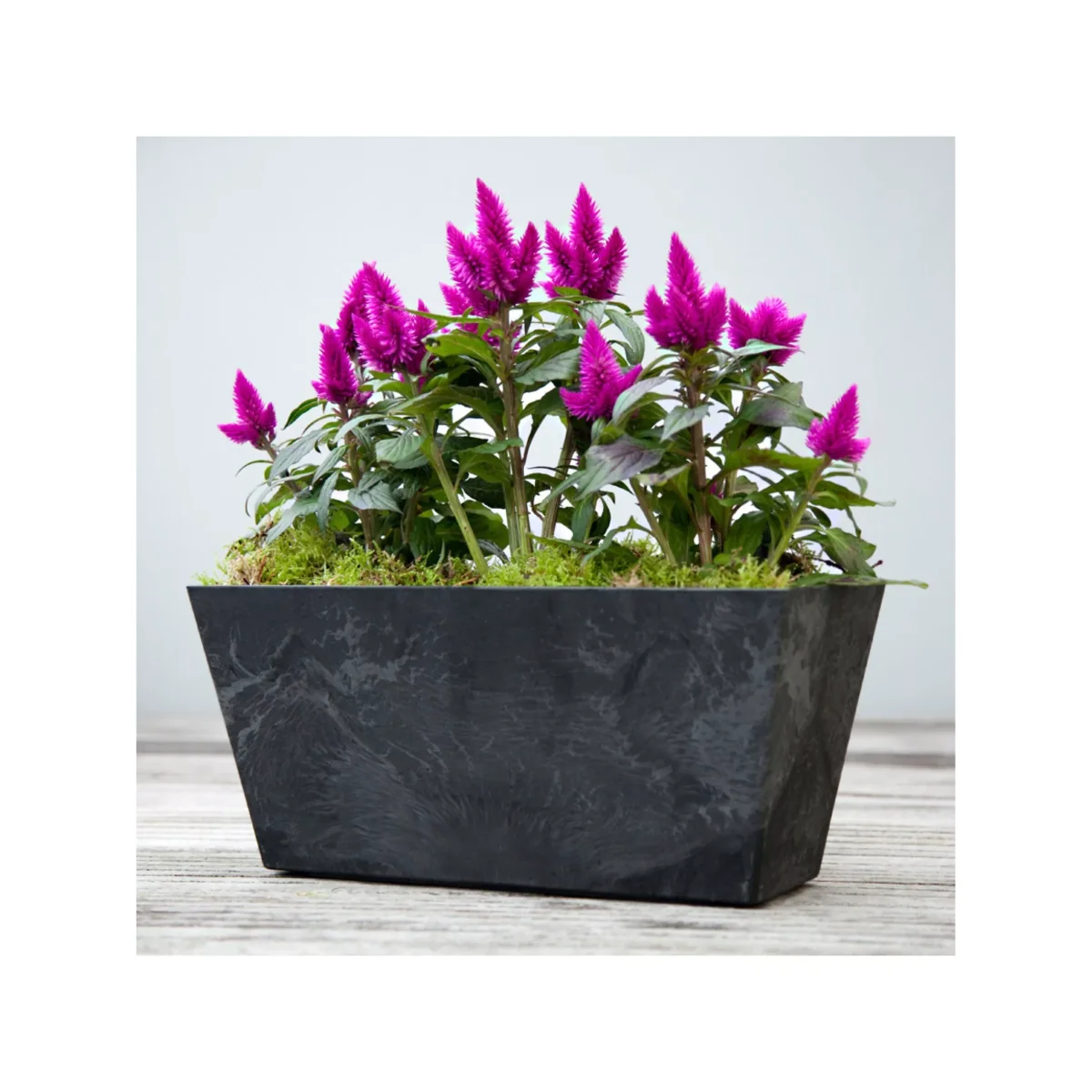 Ivyline Ella Balcony Trough Planter, 37cm – image 4
