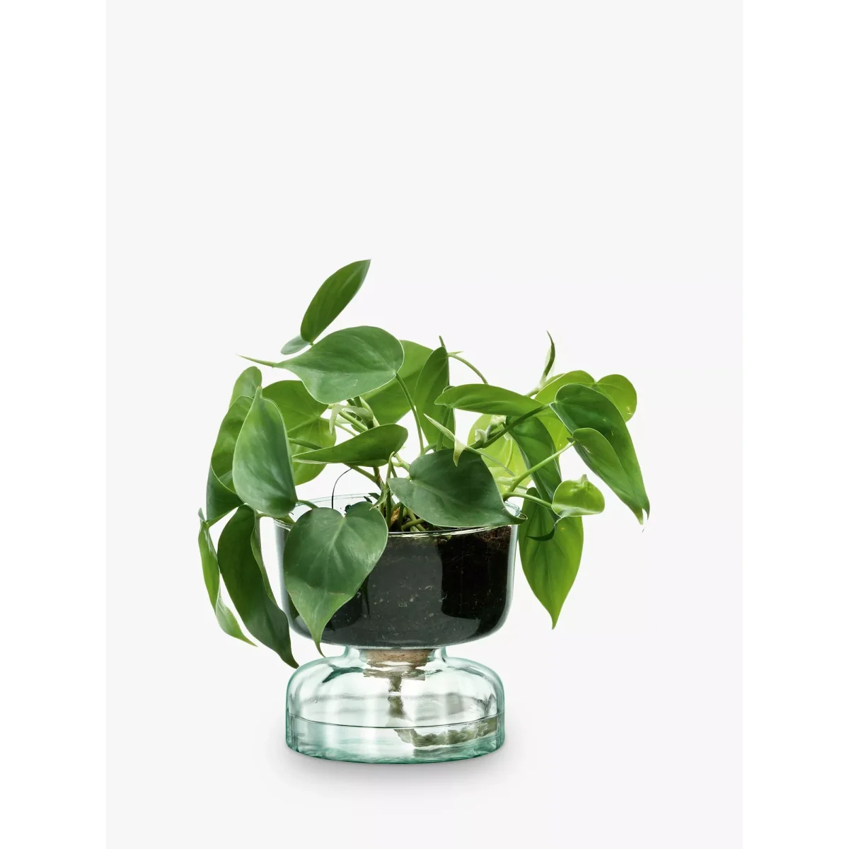 LSA International Canopy Recycled Glass Self-Watering Planter – image 2