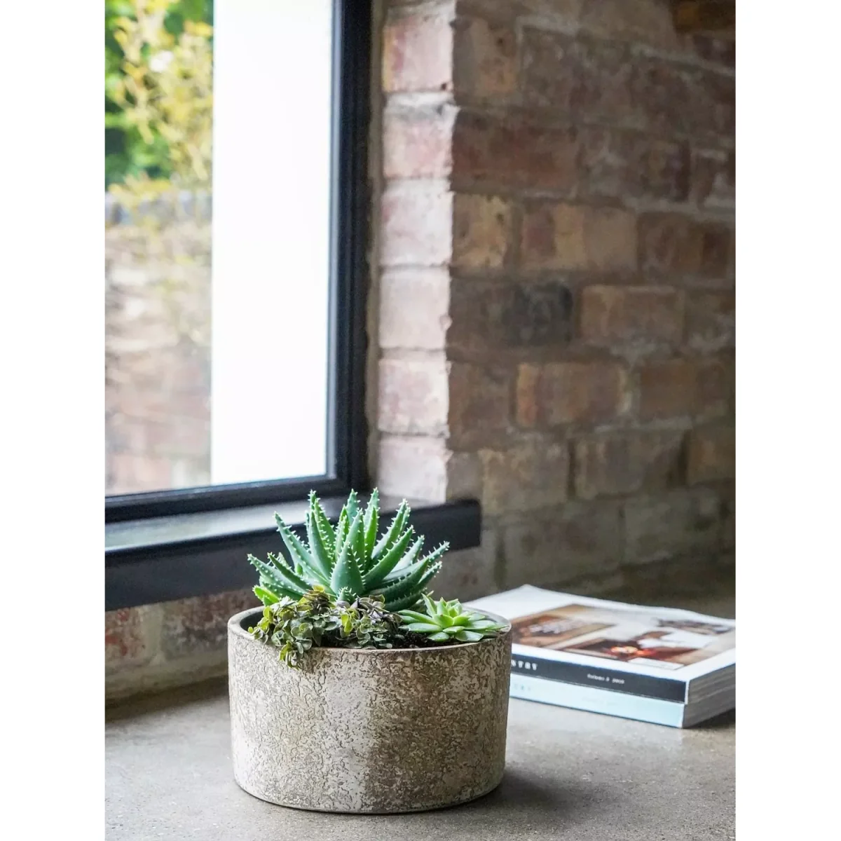 Ivyline Kew Gardens Ceramic Indoor Planter, Aged Bark – image 2