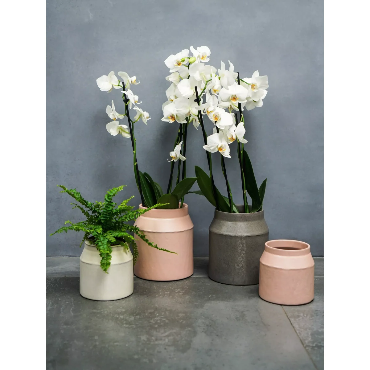 Ivyline Alba Indoor Cement Planter, Large – image 4
