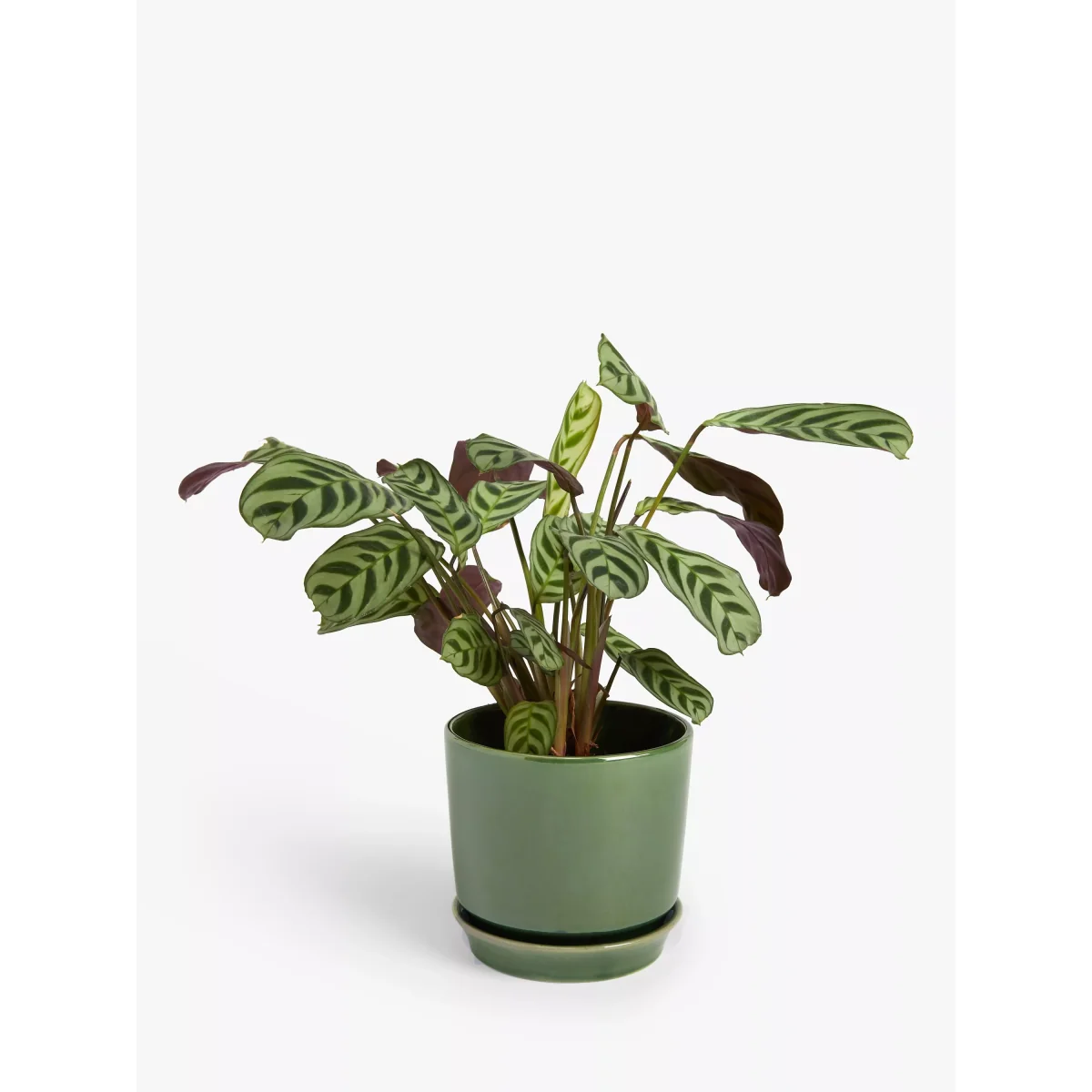 John Lewis Contemporary Glazed Stoneware Planter, 14.5cm – image 2
