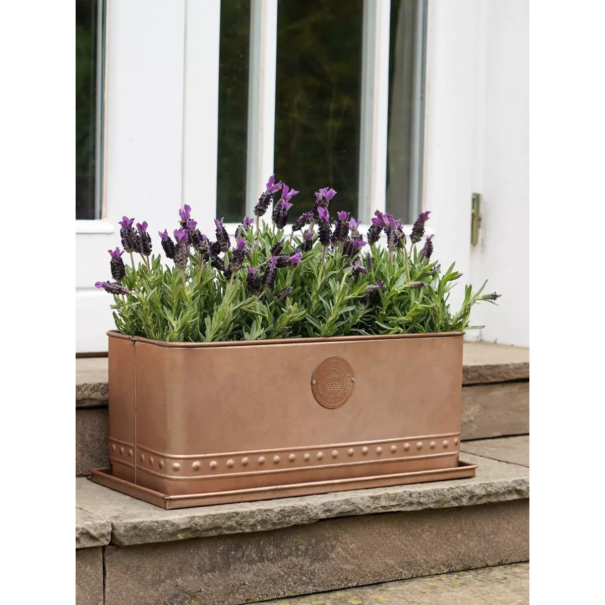 Ivyline Kew Gardens Regency Galvanised Steel Outdoor Trough Planter, 43cm – image 4