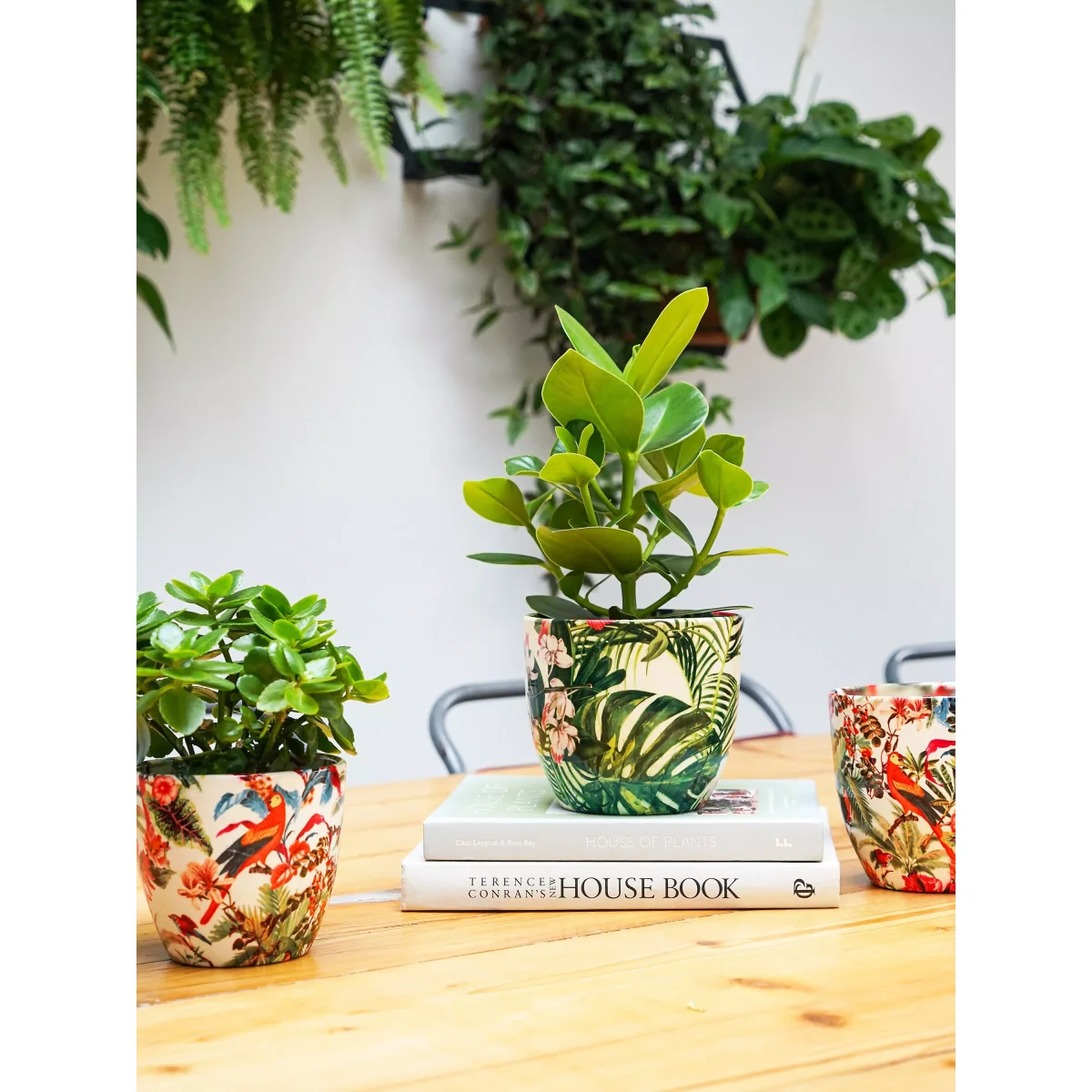 Ivyline Monza Tropical Floral Indoor Ceramic Planter, 17cm, Green/Multi – image 2