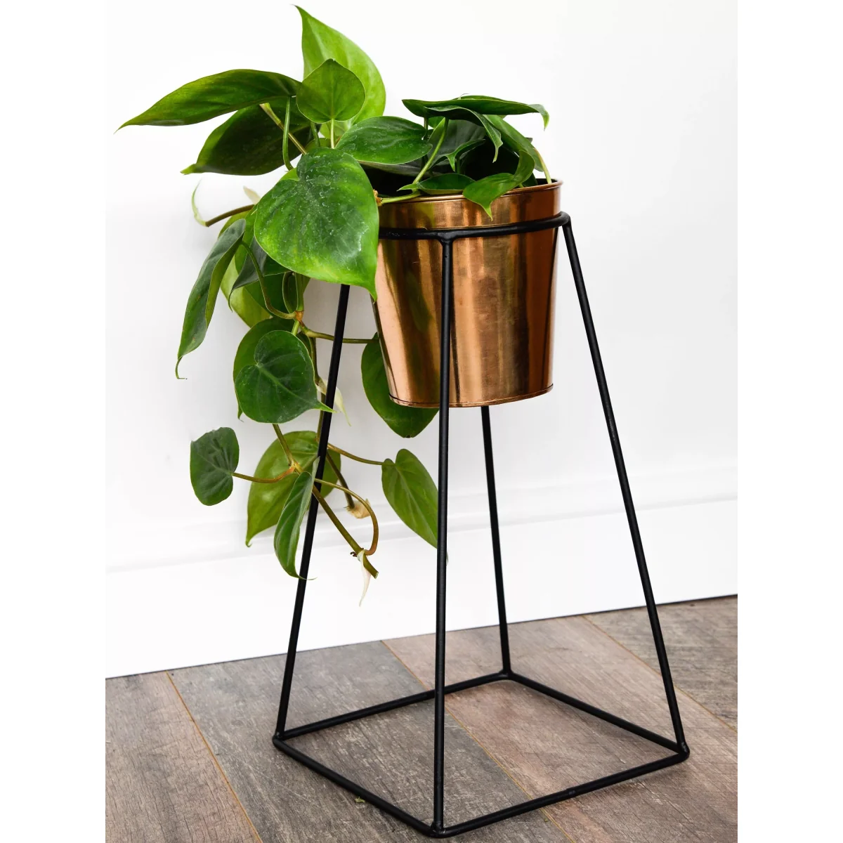 Ivyline Indoor Plant Pot and Mimmo Stand, H60.5cm – image 3