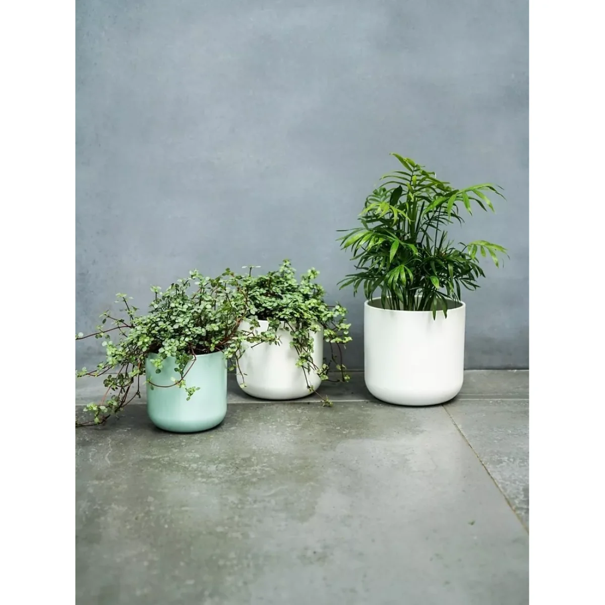 Ivyline Lisbon Ceramic Indoor Planters, Set of 2 – image 2