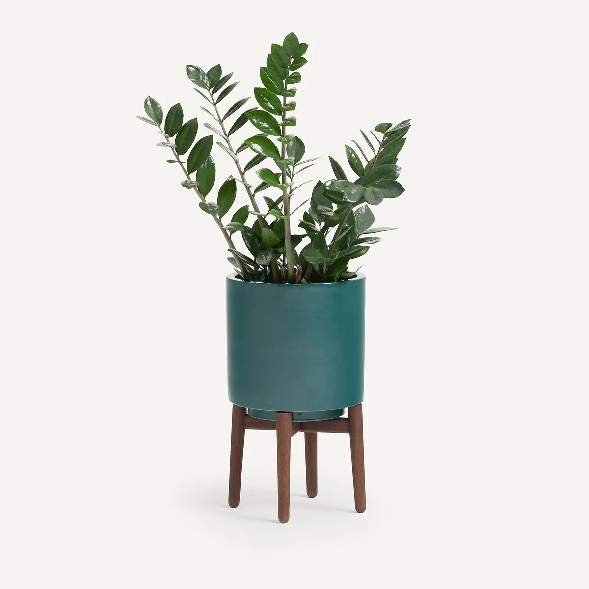 Florian 43cm High Walnut Stand Planter – image 3