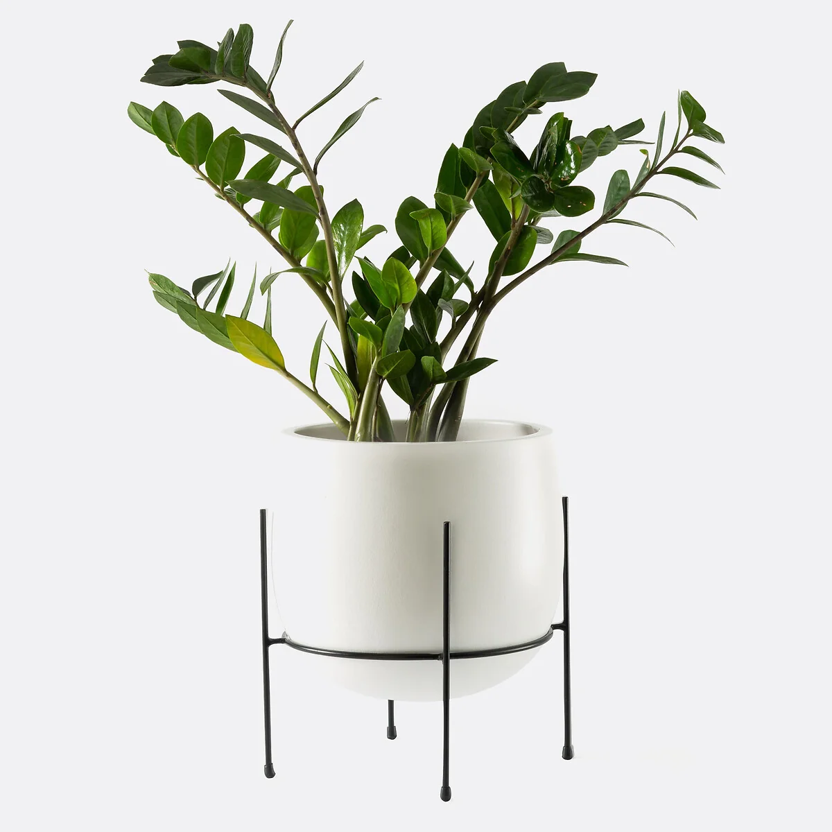 Kuza 27cm Diameter Raised Ceramic Planter – image 4