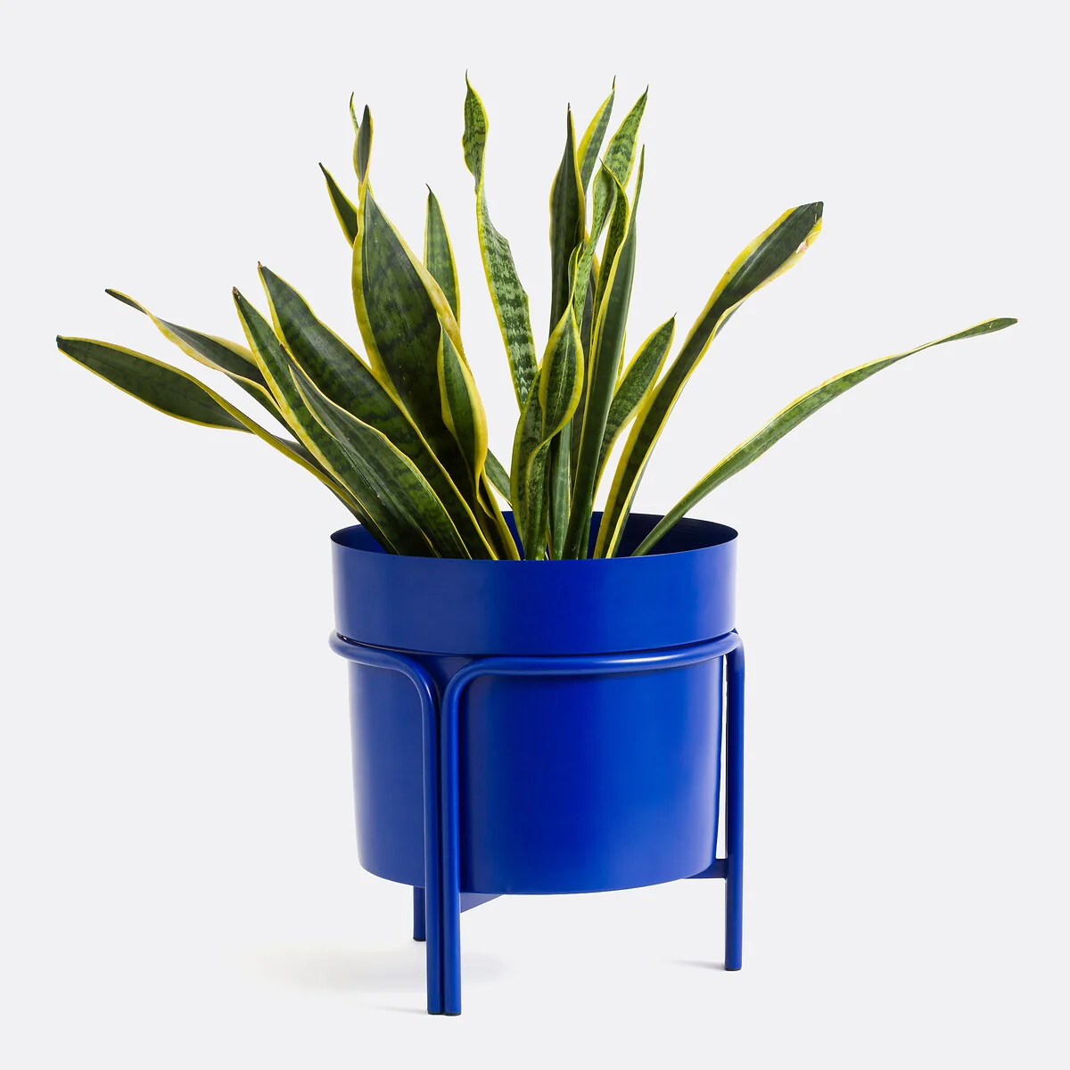 Ocardo Standing Iron Metal Plant Pot – image 5