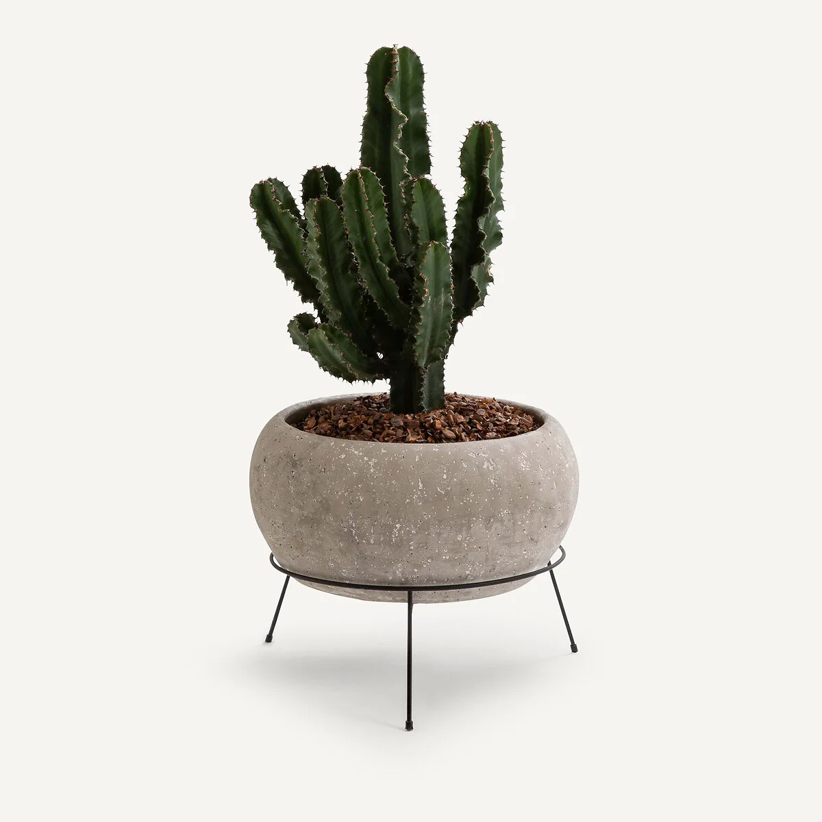 Ollam Cement Plant Pot – image 2