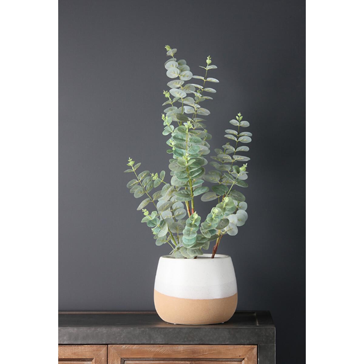 17 x 22cm Two Tone Curved Planter – image 2