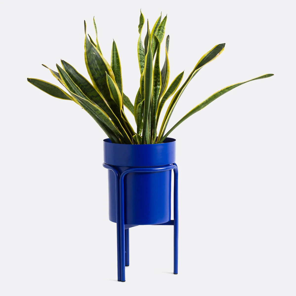 Ocardo 50cm High Raised Metal Planter – image 4
