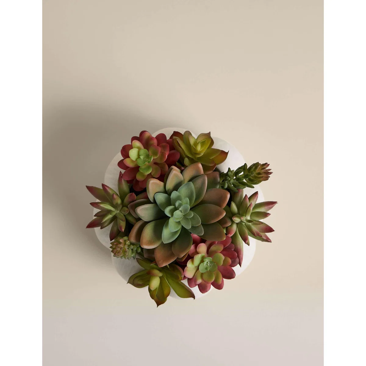 Moss & Sweetpea Artificial Succulents in Concrete Pot - White, White – image 2