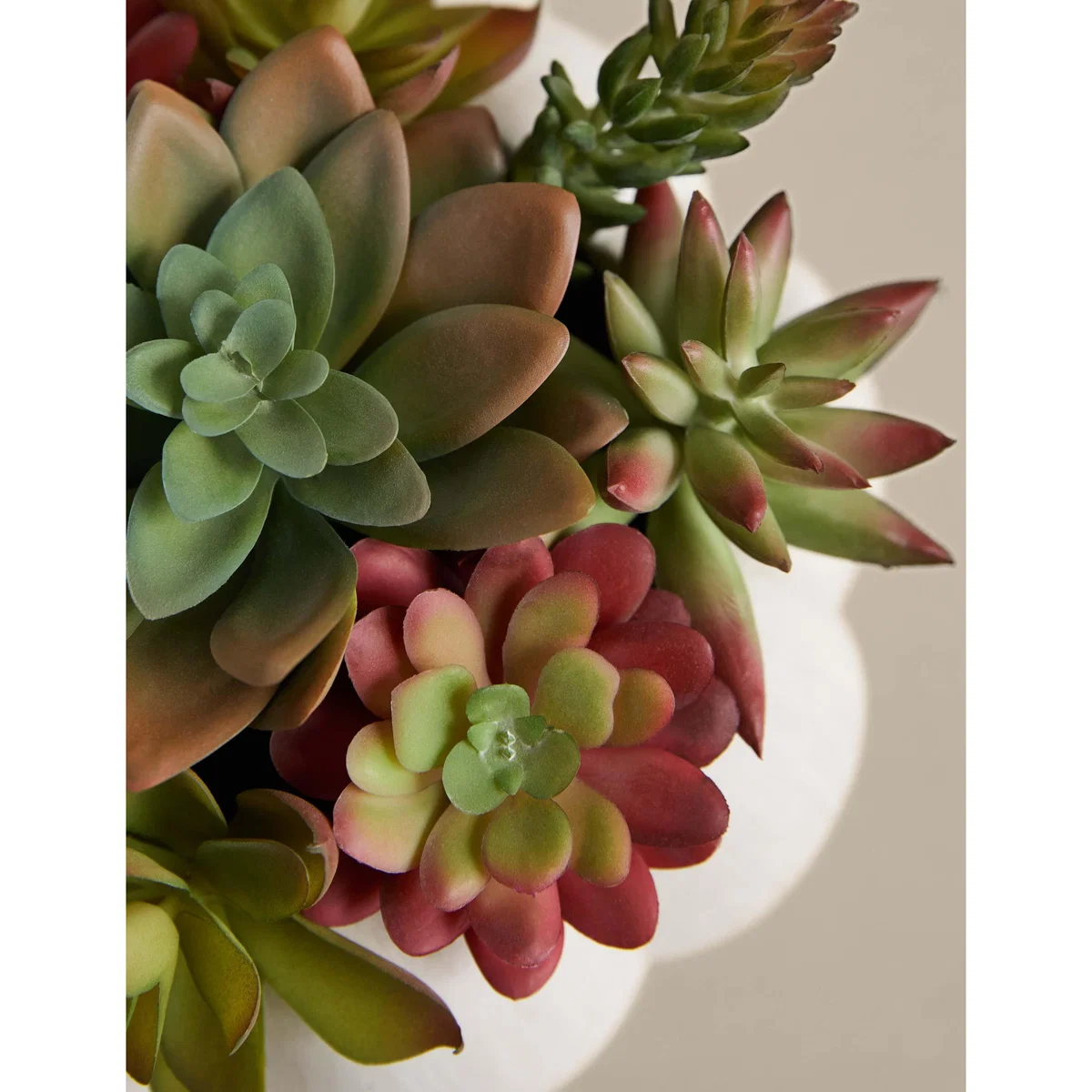 Moss & Sweetpea Artificial Succulents in Concrete Pot - White, White – image 3