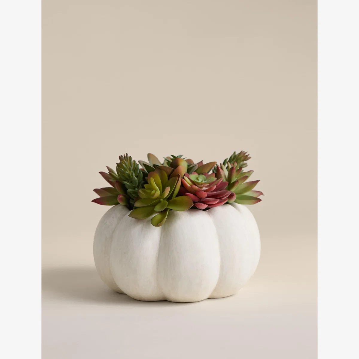 Moss & Sweetpea Artificial Succulents in Concrete Pot - White, White – image 1