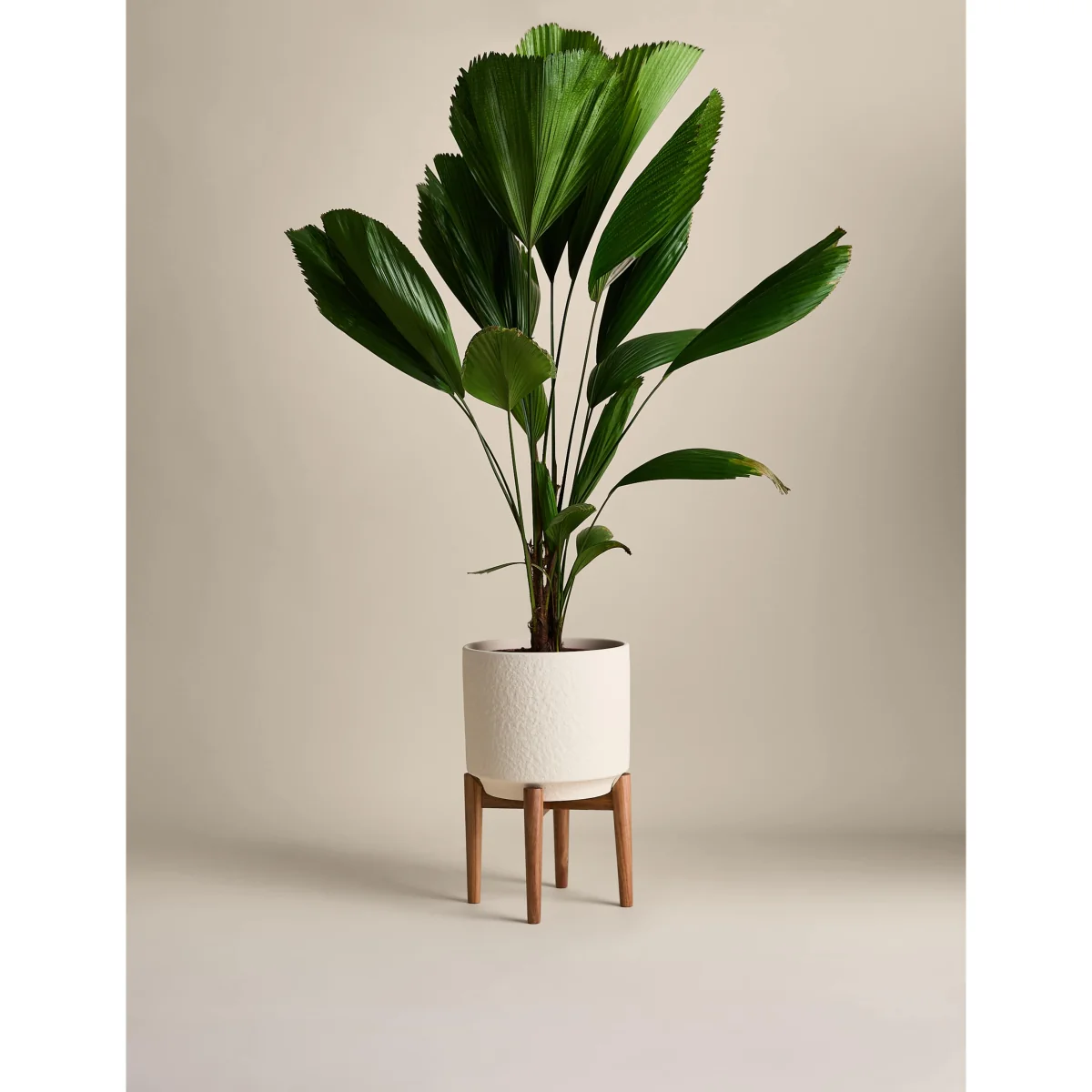 M&S Large Reactive Glaze Ceramic Planter Neutral – image 2