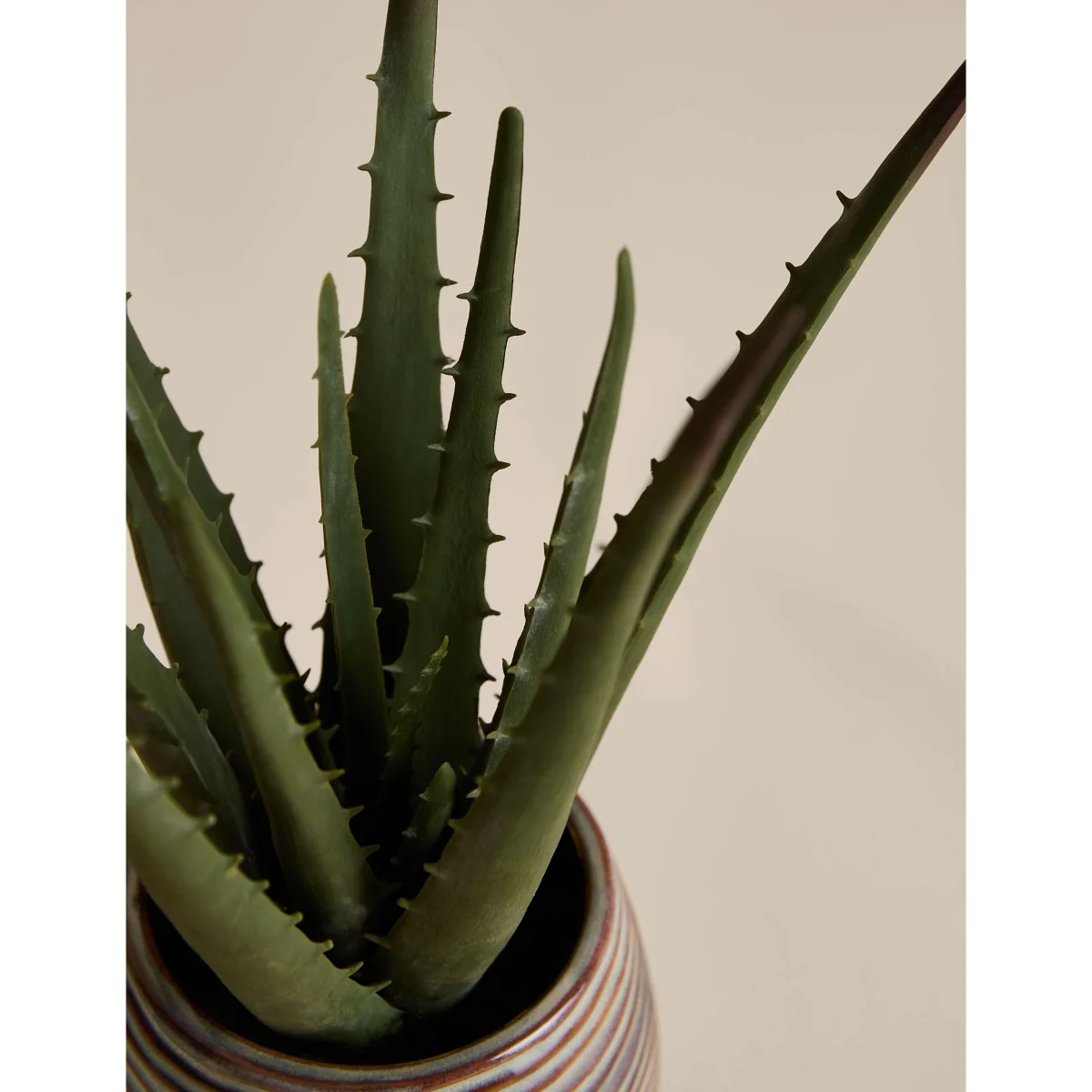 M&S Artificial Aloe Vera in Ceramic Pot Natural – image 3