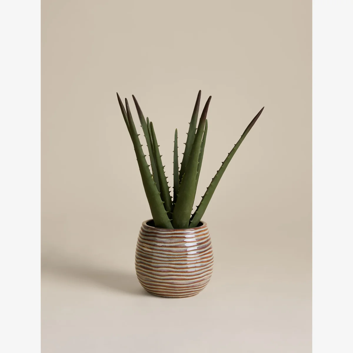 M&S Artificial Aloe Vera in Ceramic Pot Natural – image 1