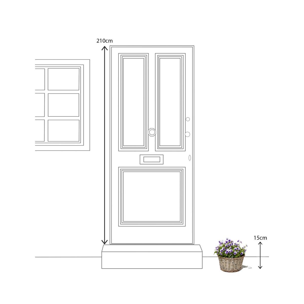 M&S Hanging Basket – image 3
