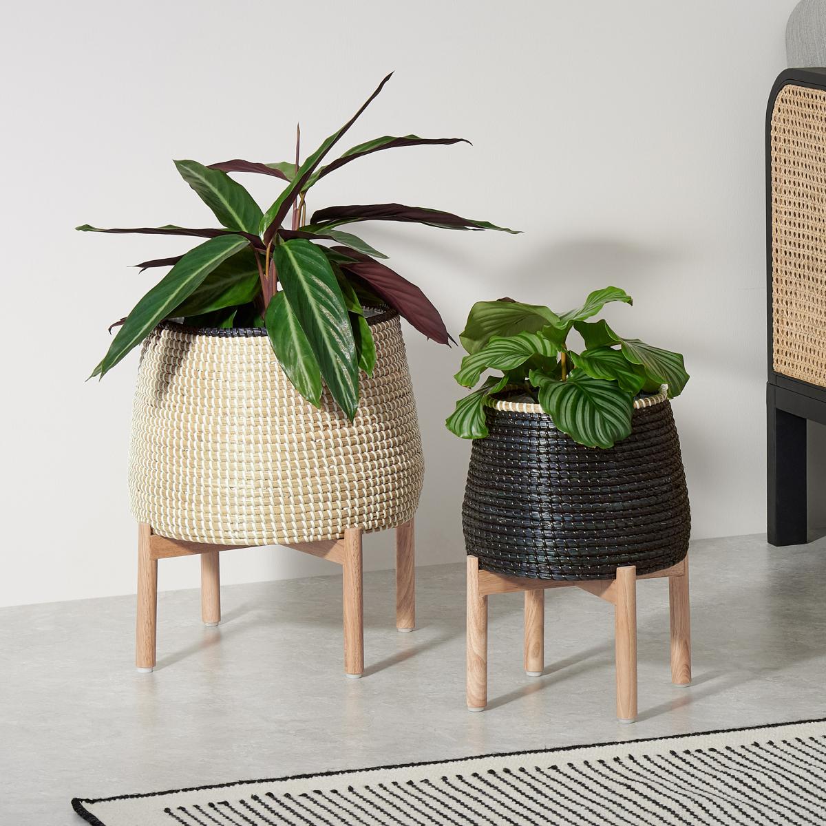 Melle Set of 2 Seagrass Planter Stands, Natural & Black – image 10