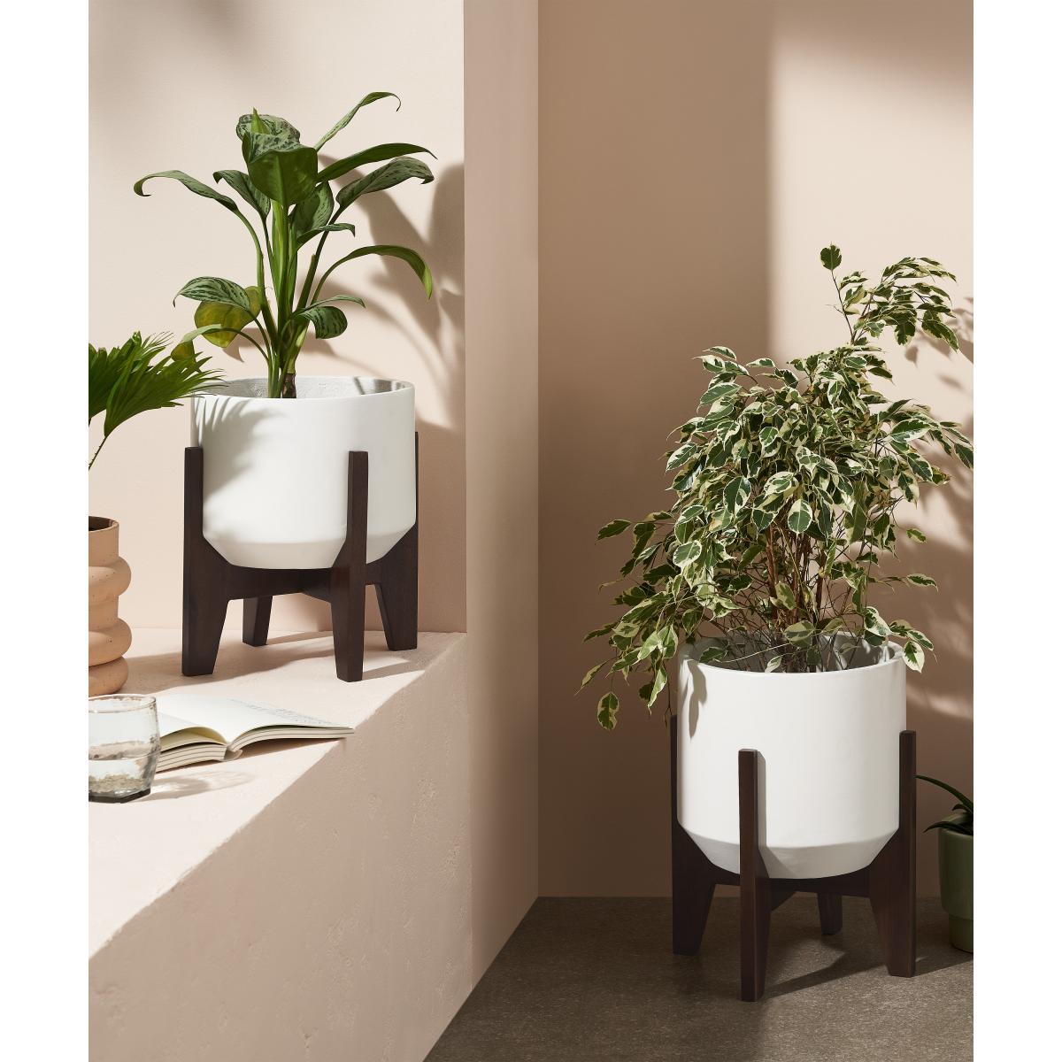 Afia Set of 2 Wide Plant Stands, Natural White Fibre Cement & Acacia – image 3