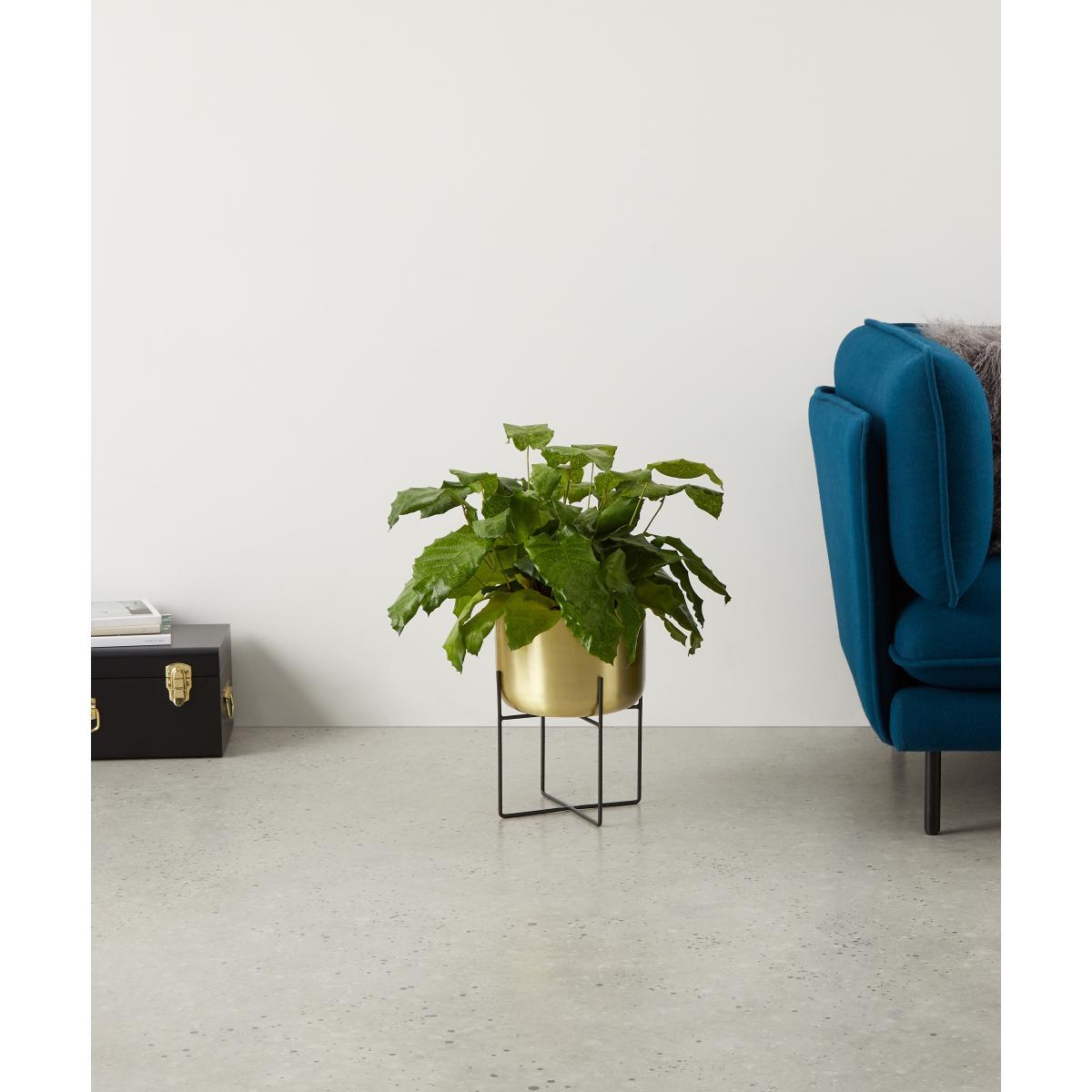 Salix Large Planter, Brass – image 3