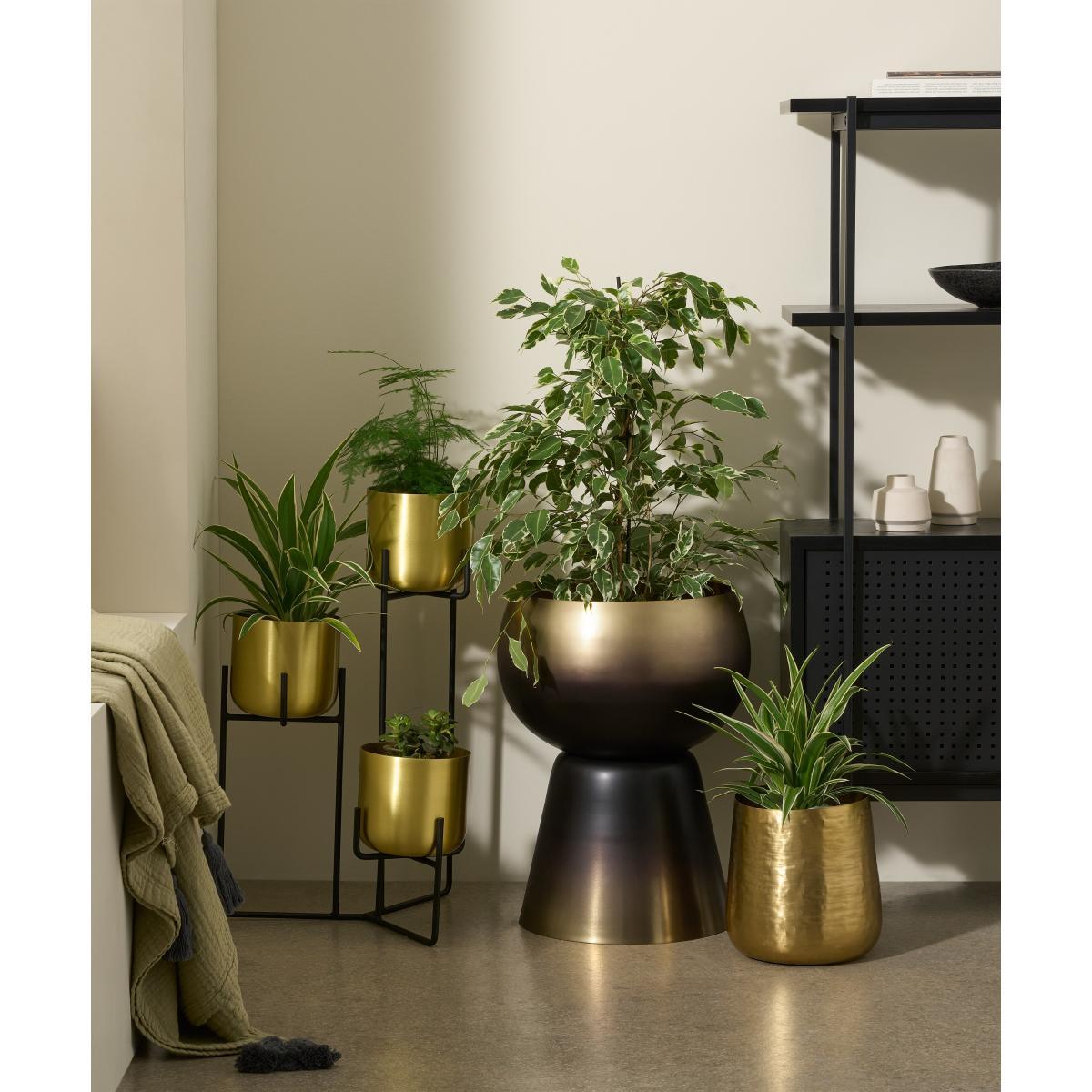 Valletta Statement Planter, Smoked Brass – image 3