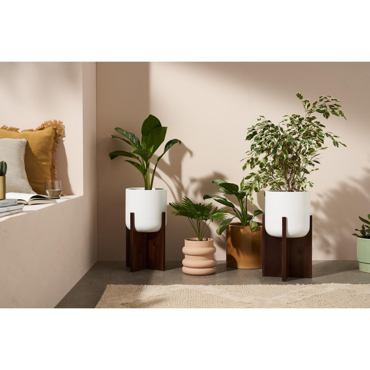 Barwyn Set of 2 Tall Planters with Stands, Stone Fibre Cement & Acacia – image 4
