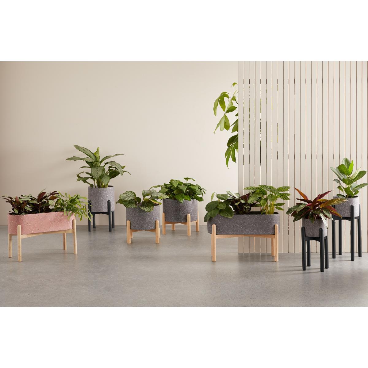 Hakuun Set Of Two Terrazzo Plant Pots With Rubberwood Legs, Grey & Black – image 7