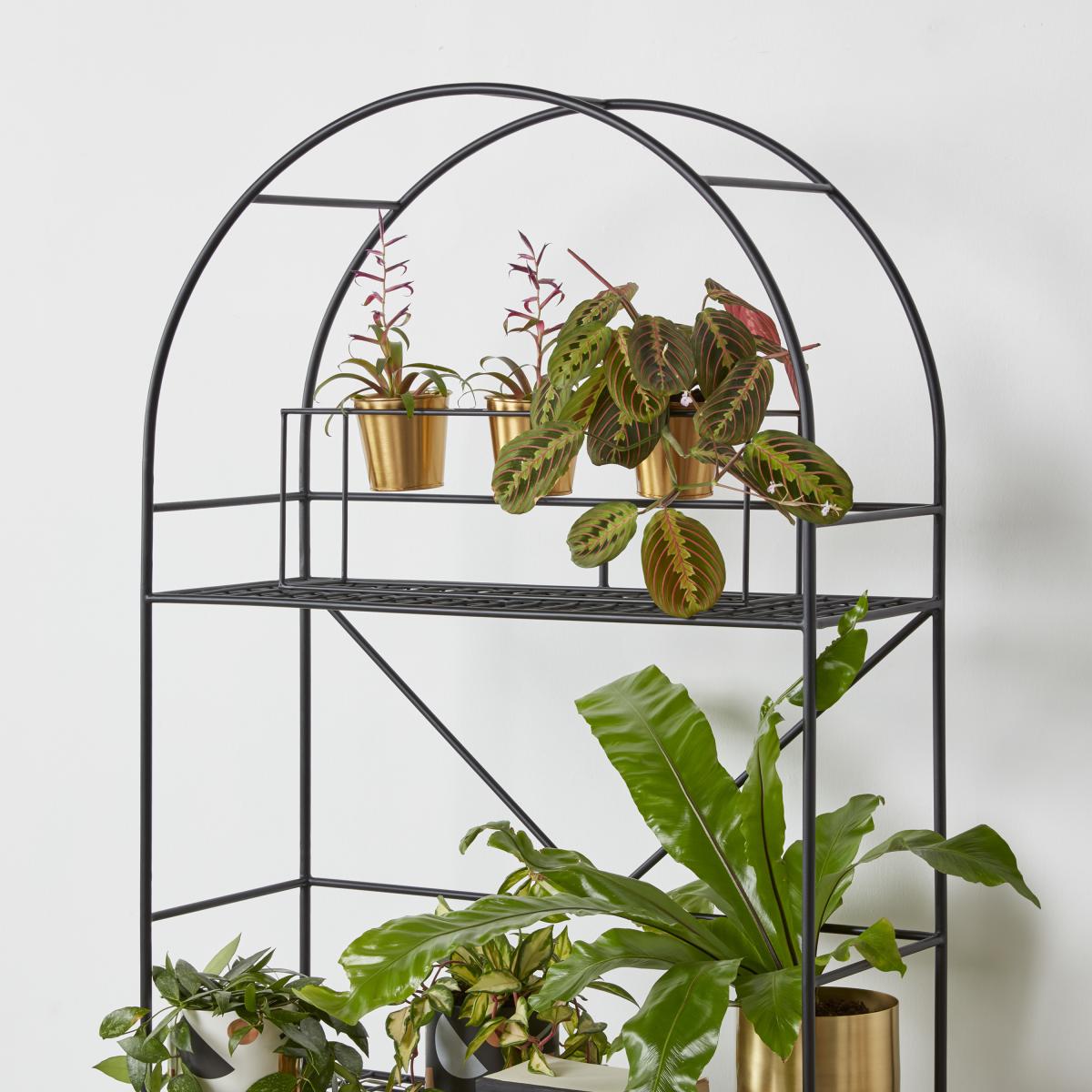 Betula Curve Plant Stand, Black – image 10