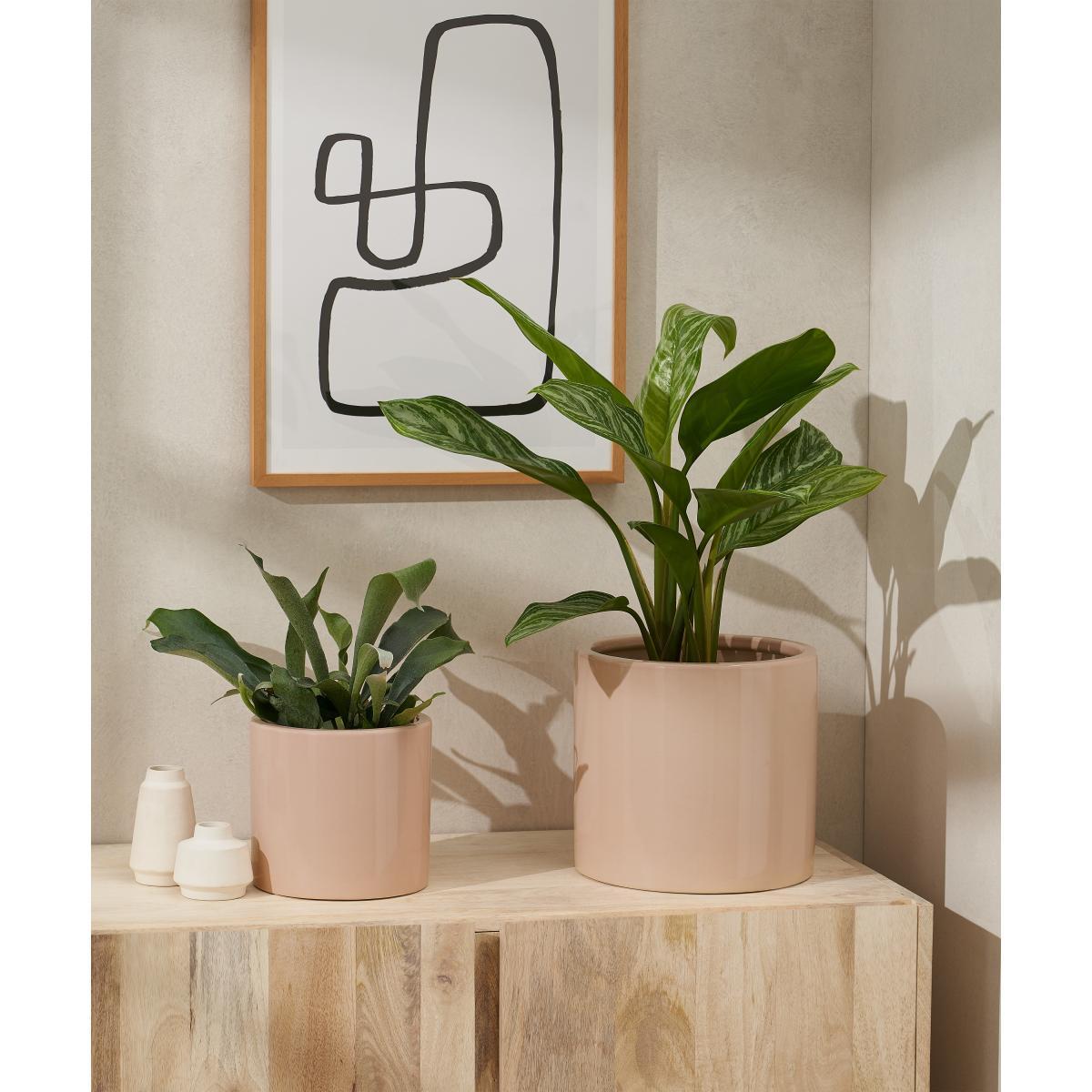 Marcie Set of 2 Glazed Earthenware Planters, Pink – image 3