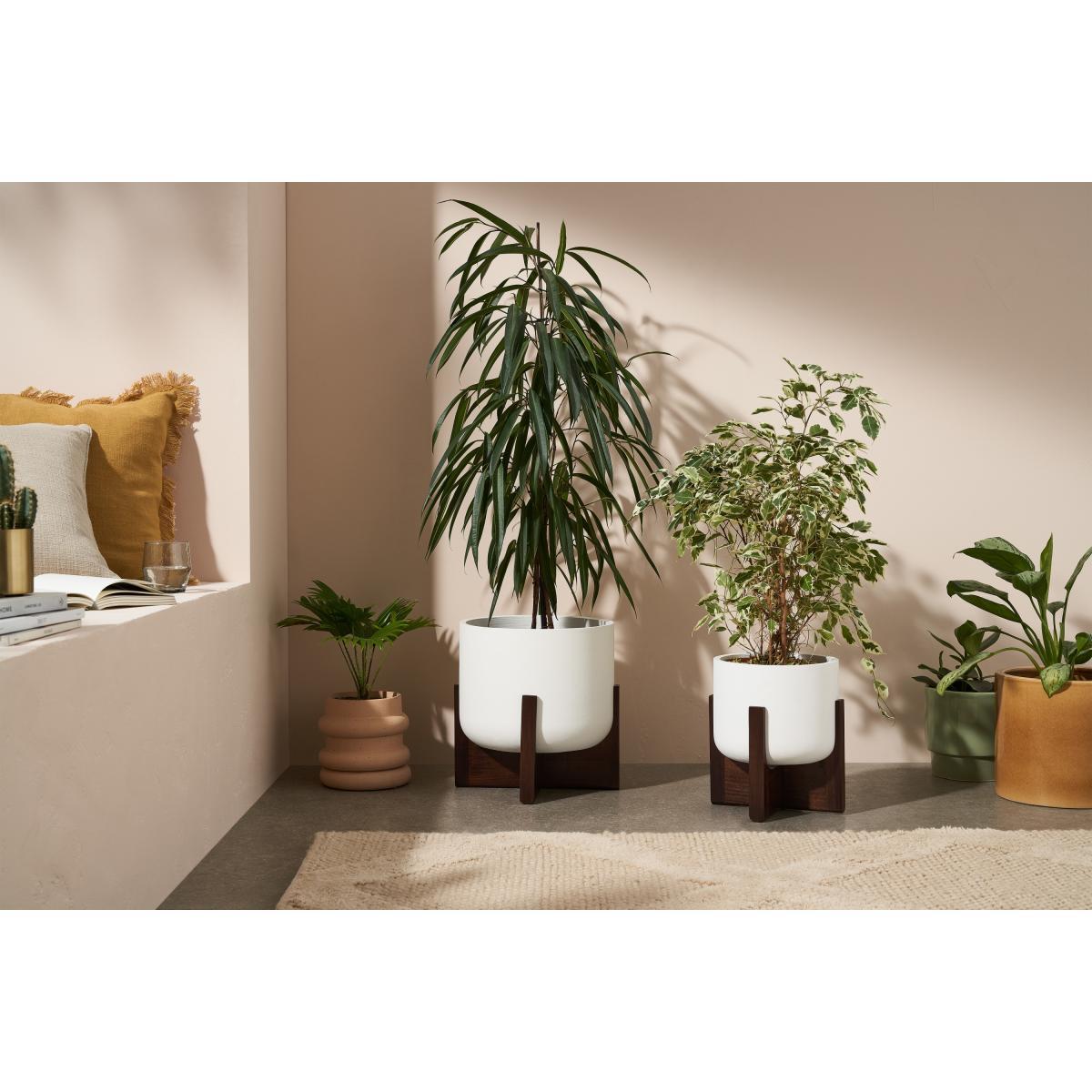 Barwyn Set of 2 Plant Stands with Wooden Legs, Stone Fibre Cement & Acacia – image 4