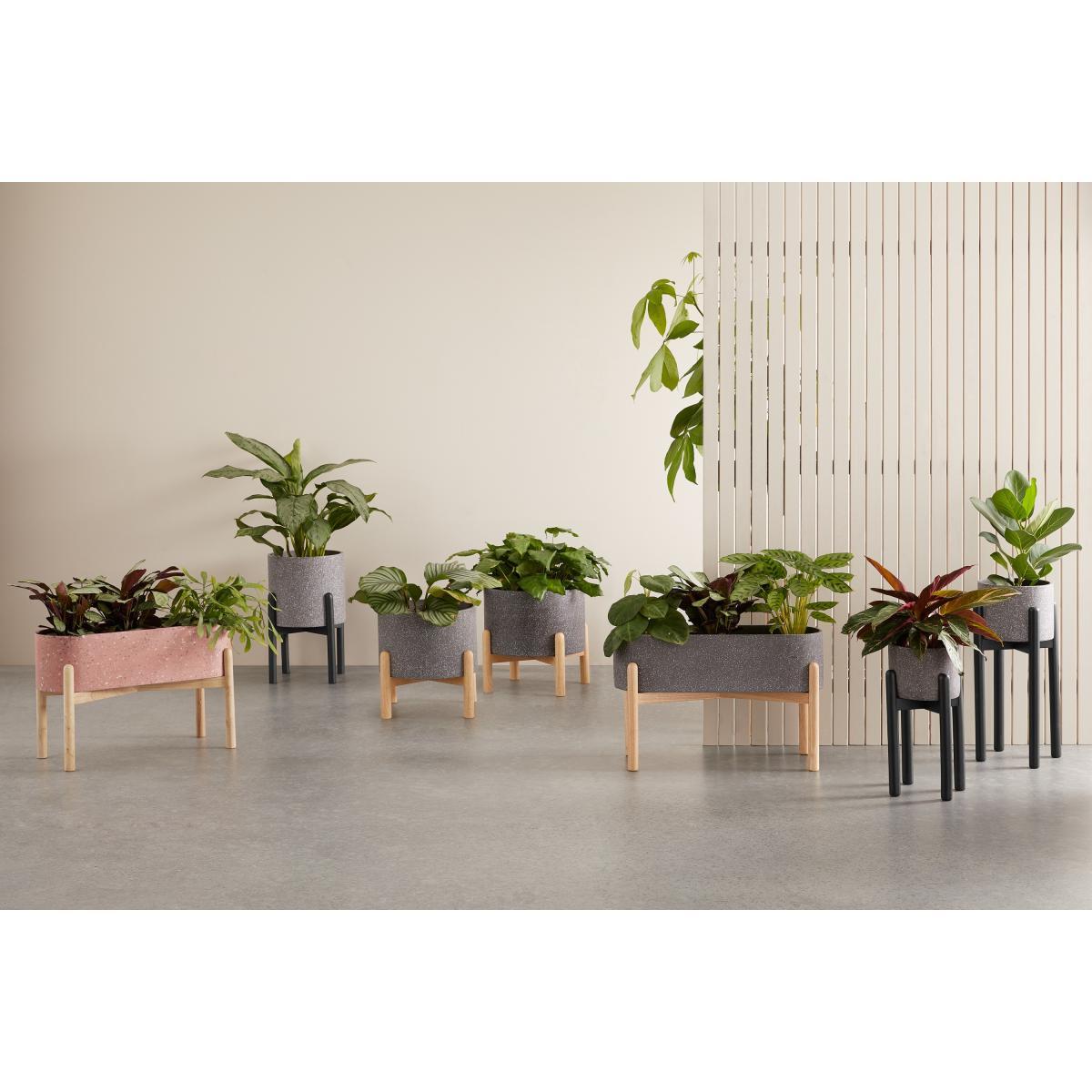Hakuun Tall Terrazzo Plant Pot with with Rubberwood Legs, Grey & Black – image 8