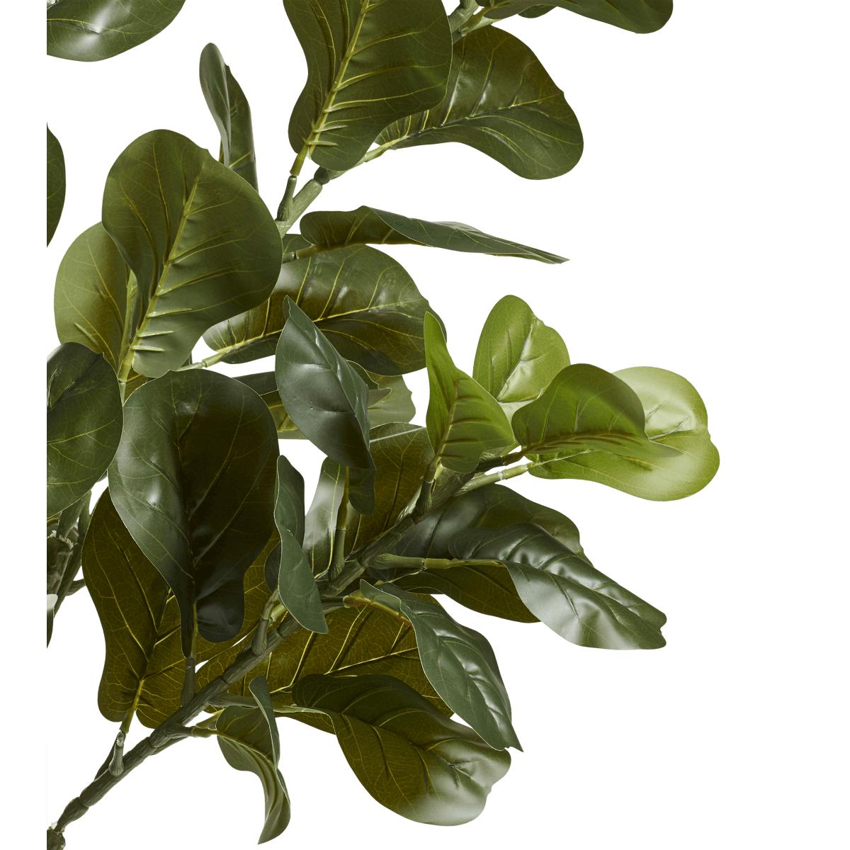 OKA, Large Faux Fiddle Plant - Green, Planters – image 4