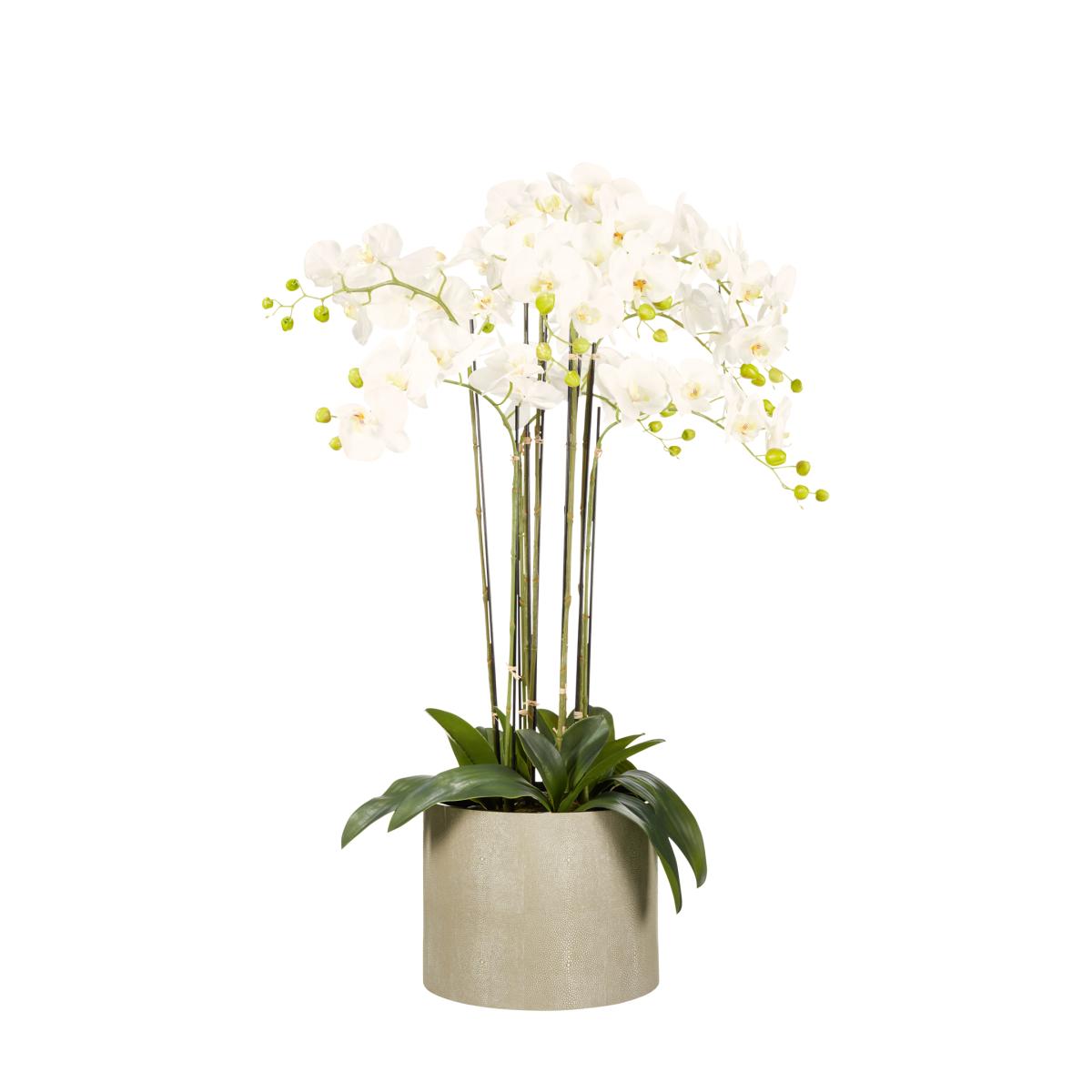 Faux Shagreen Planter - Taupe – image 3