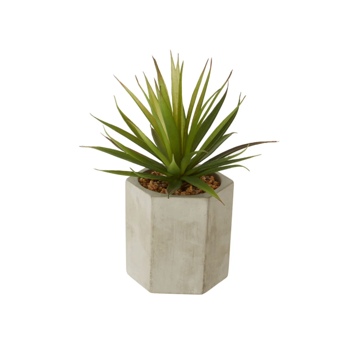 Olivia's Freda Planter Sword Grass