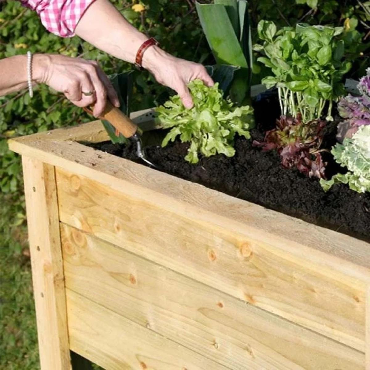 Zest Garden Deep Root Wooden Planter - 1.8m In NaturalWood – image 3