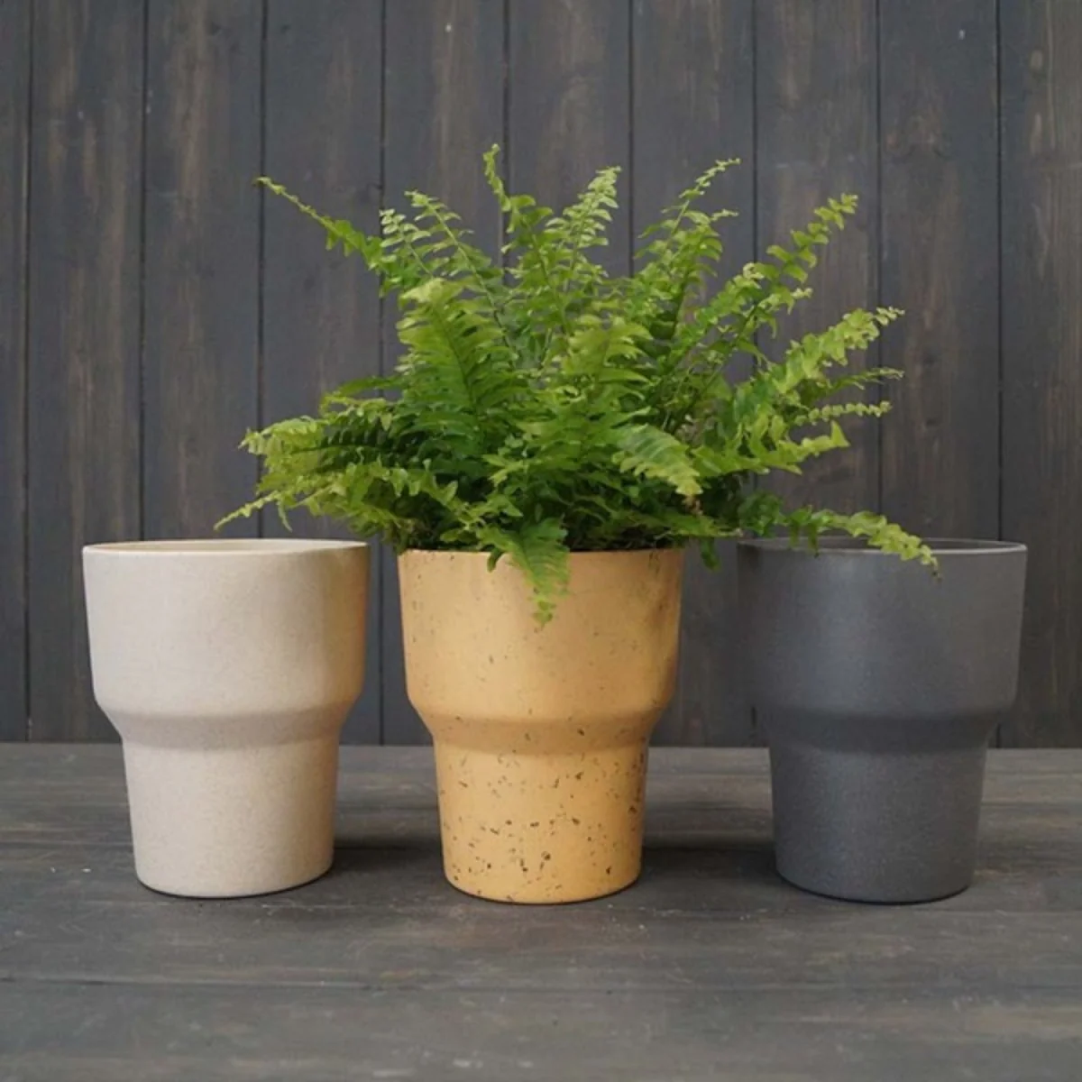 Earthy Natural Bamboo Minimalist Orchid Pot - Natural – image 2