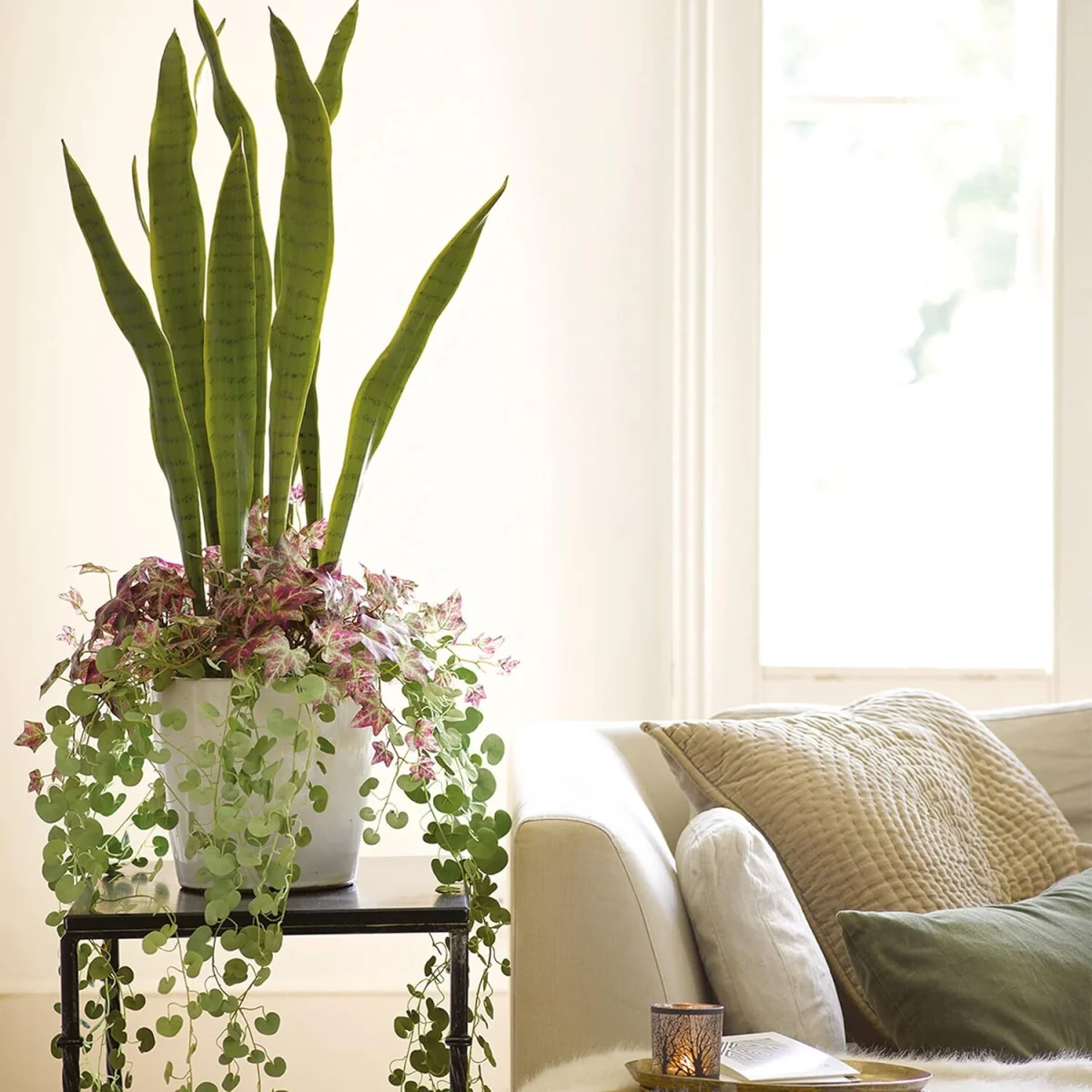 Artificial Urban Planter with 3 Houseplants - White, Green – image 3