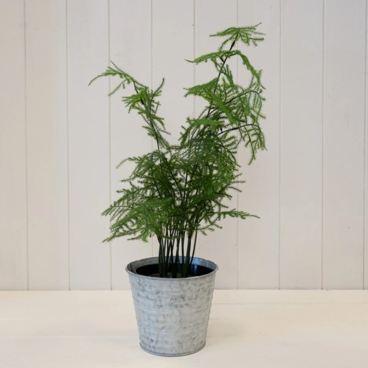 Classic Rustic Grey Aged Zinc Planter - Grey – image 2