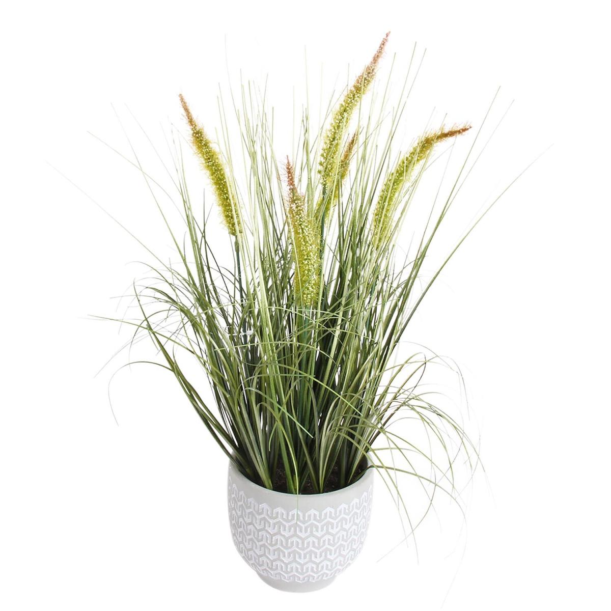 Bulrush in White Pot – image 2