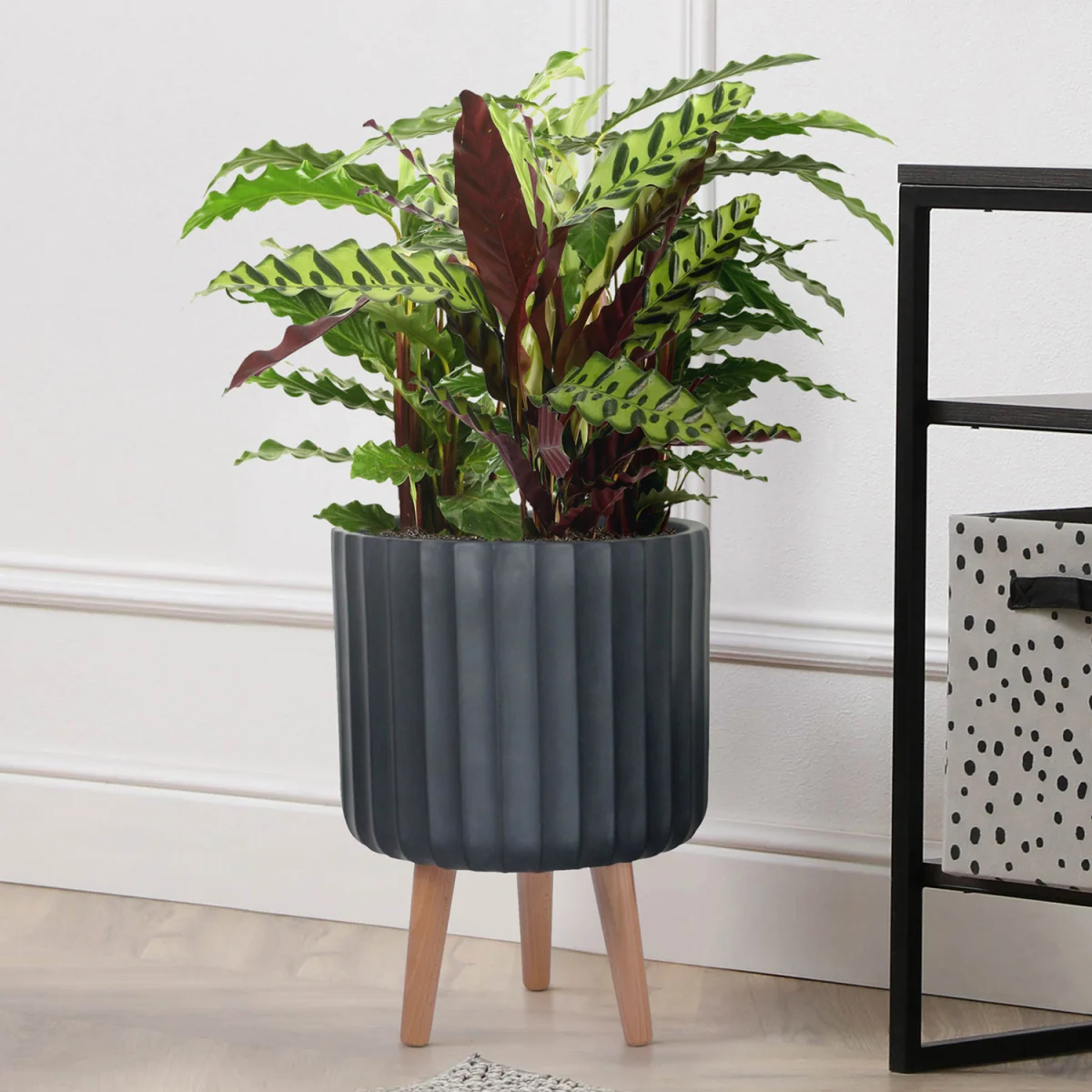 Modern Ribbed Cylinder Round Indoor Planter On Legs - Black / 14.8l – image 1