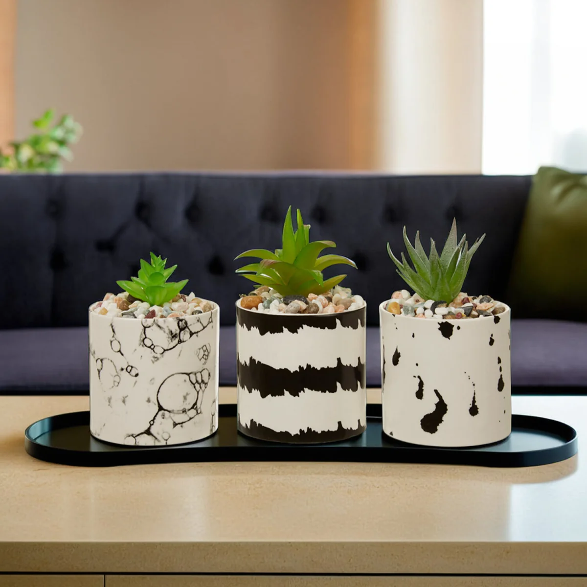 Mimo Set of 3 White And Black Succulents - Black & White