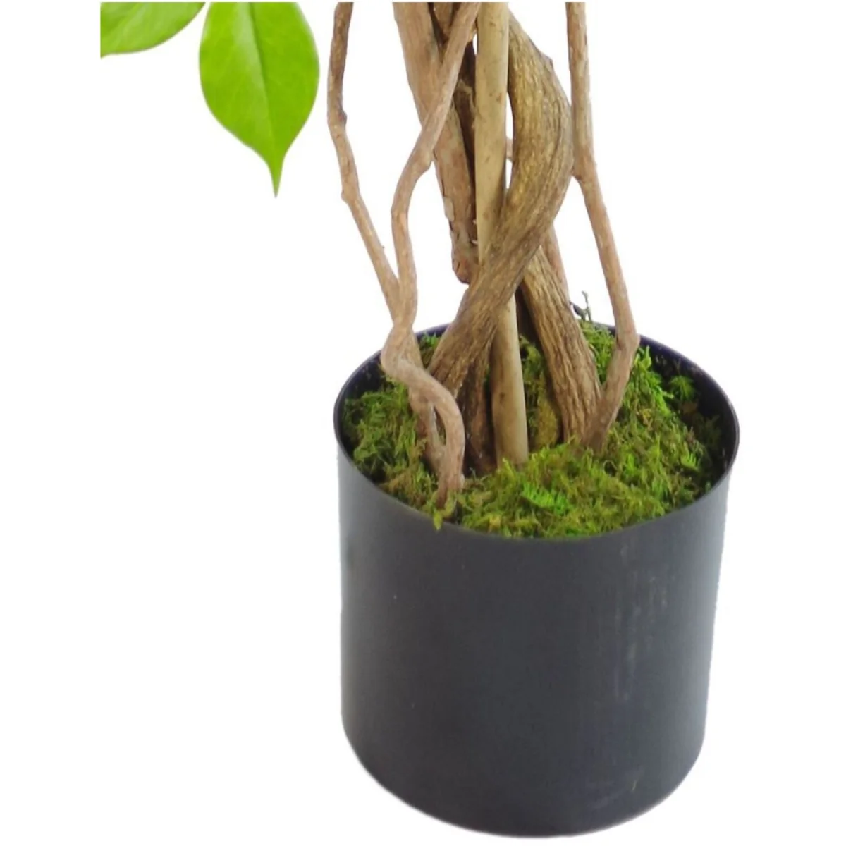 Artificial Premium Tree Metal Planter - Green – image 2