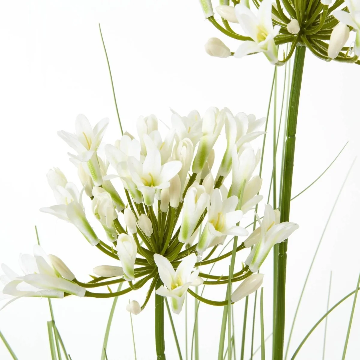 Hill Interiors Agapanthus Plant Pot - White/Green – image 2