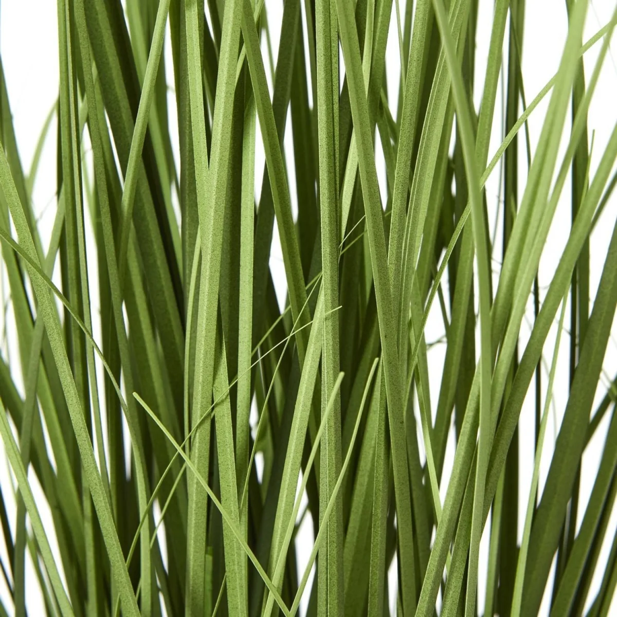Hill Interiors Agapanthus Plant Pot - White/Green – image 3