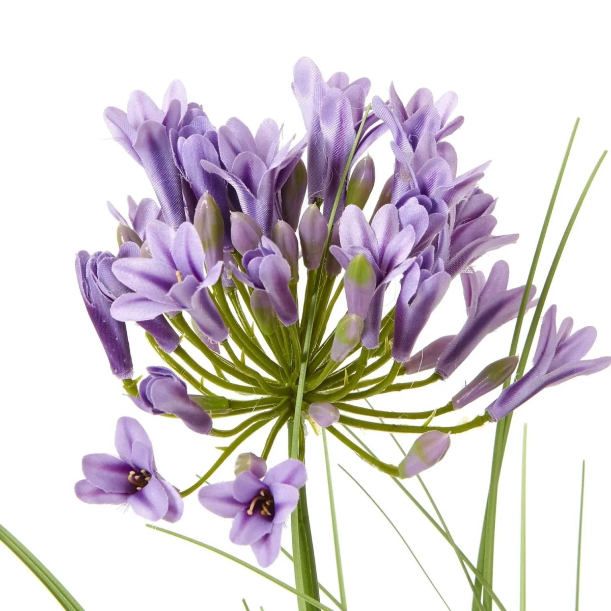 Hill Interiors Agapanthus Plant Pot - White/Green – image 4