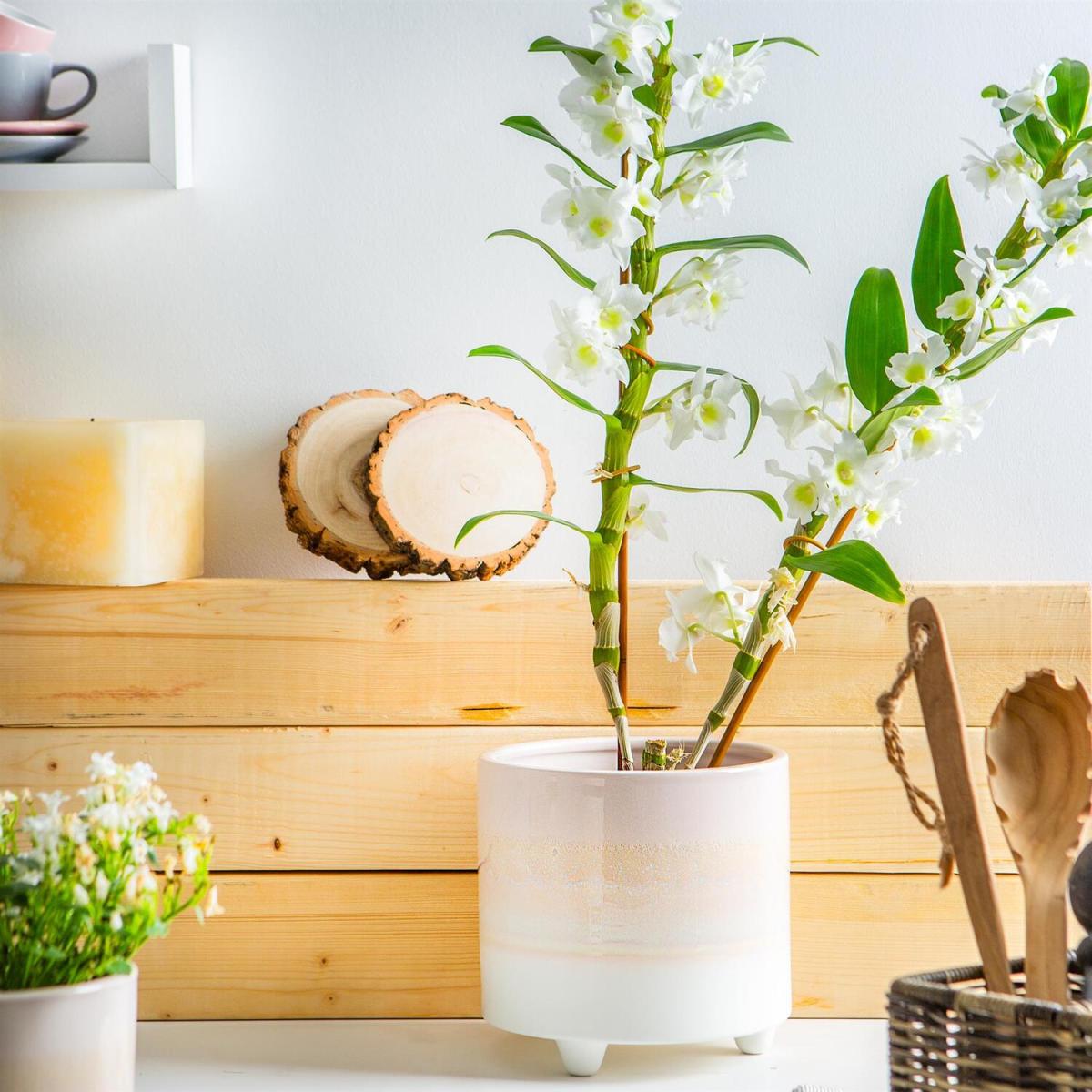 18cm Reactive Glaze Footed Plant Pot - Natural – image 3