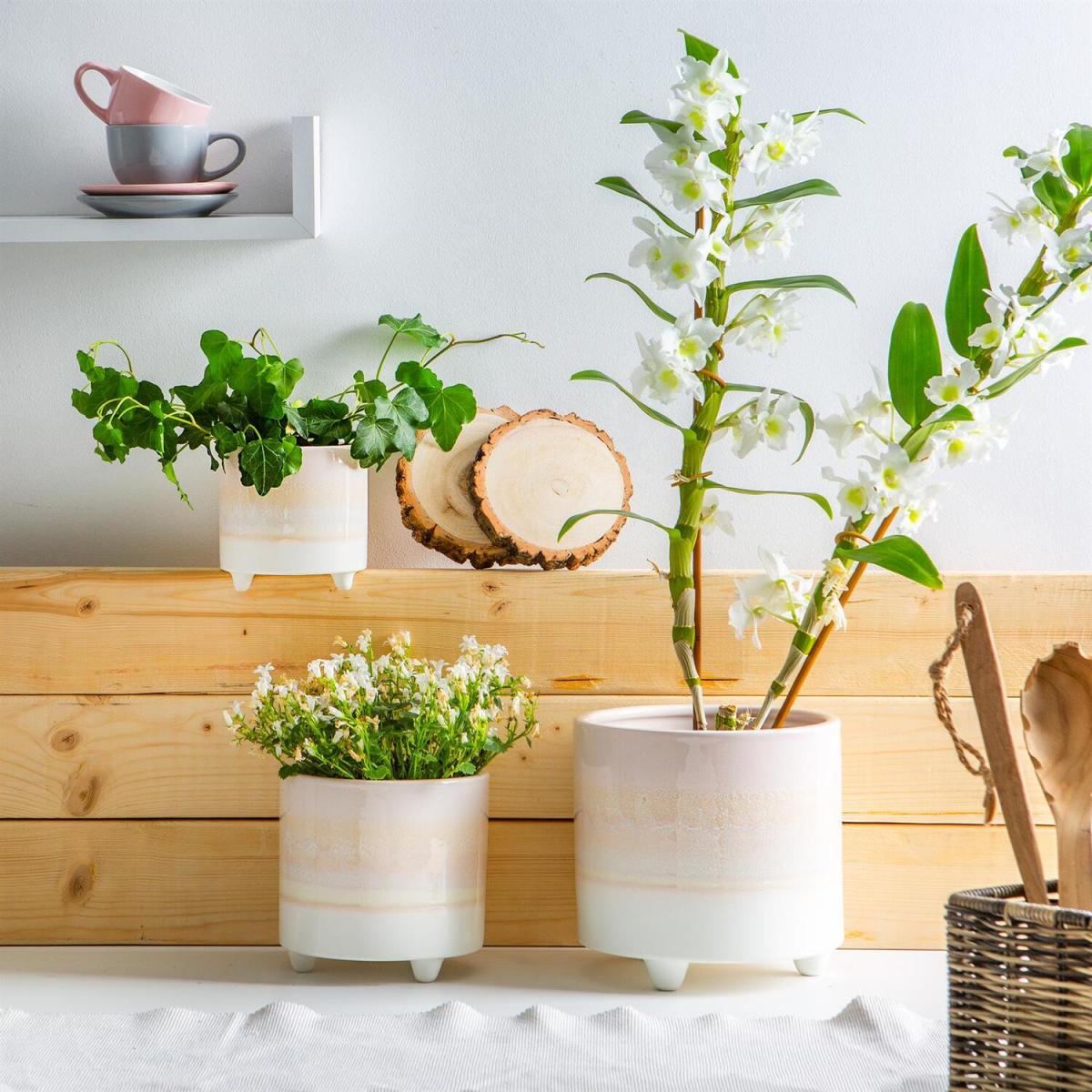 18cm Reactive Glaze Footed Plant Pot - Natural – image 5